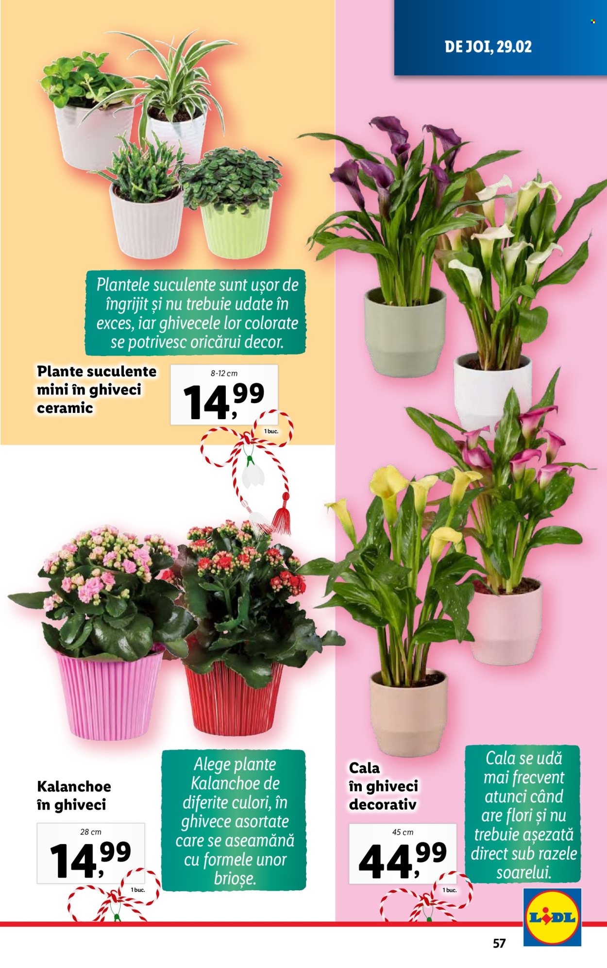 Catalog Lidl - 26.02.2024 - 03.03.2024. Pagina 57