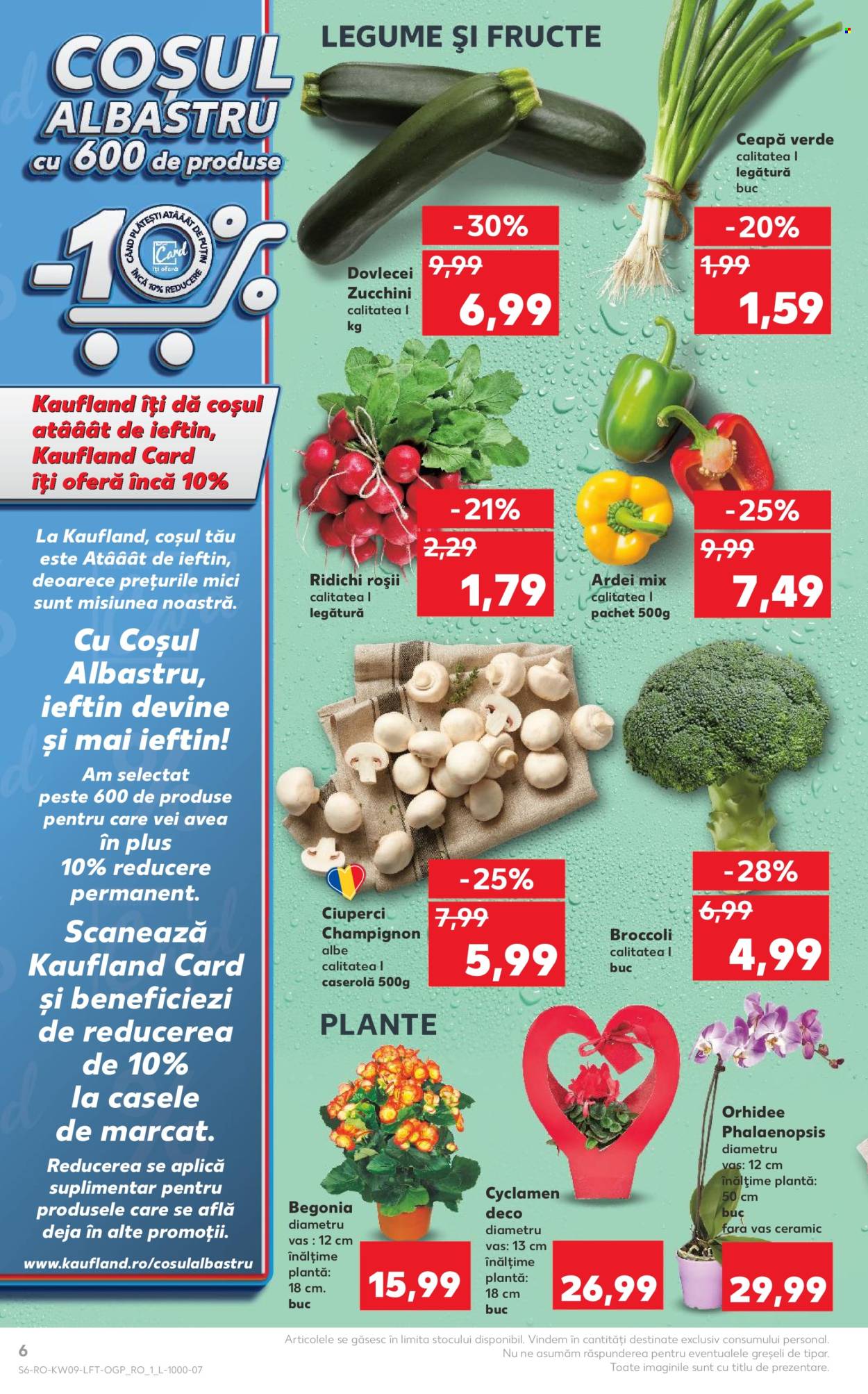 Catalog Kaufland - 28.02.2024 - 05.03.2024. Pagina 6