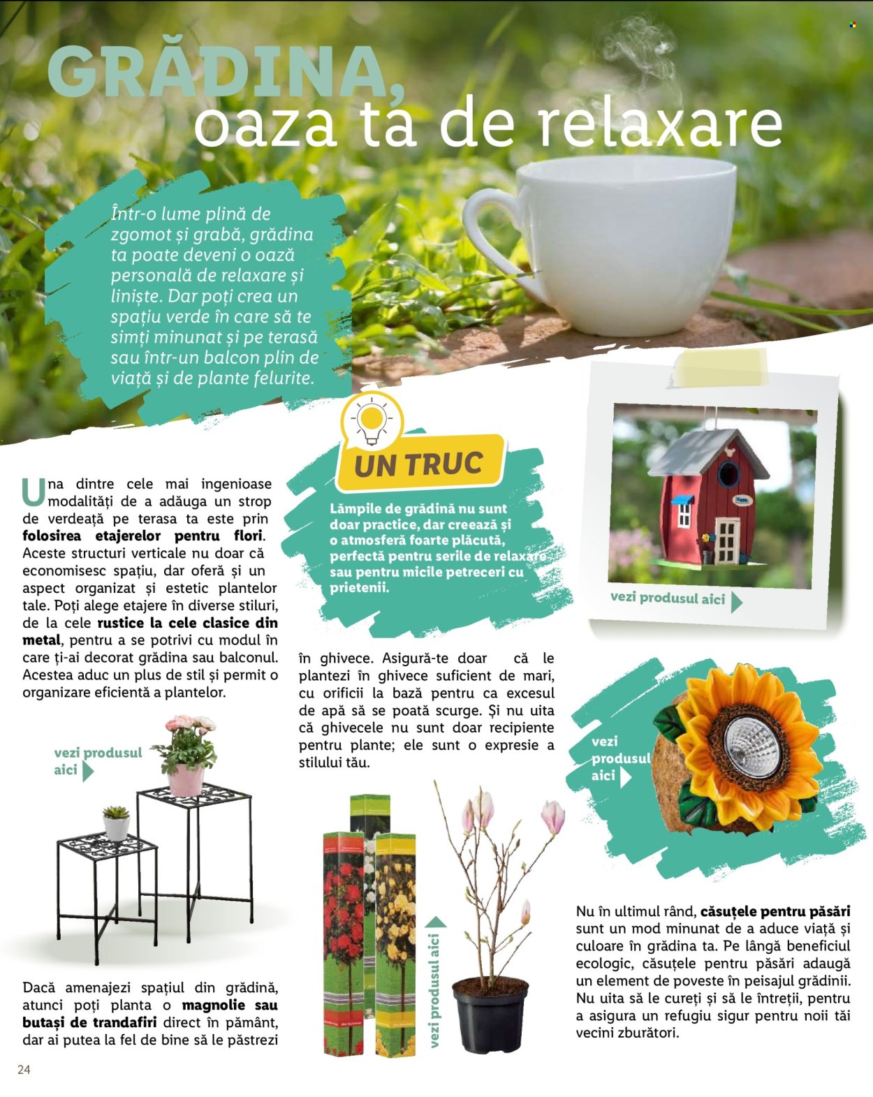 Catalog Lidl. Pagina 24
