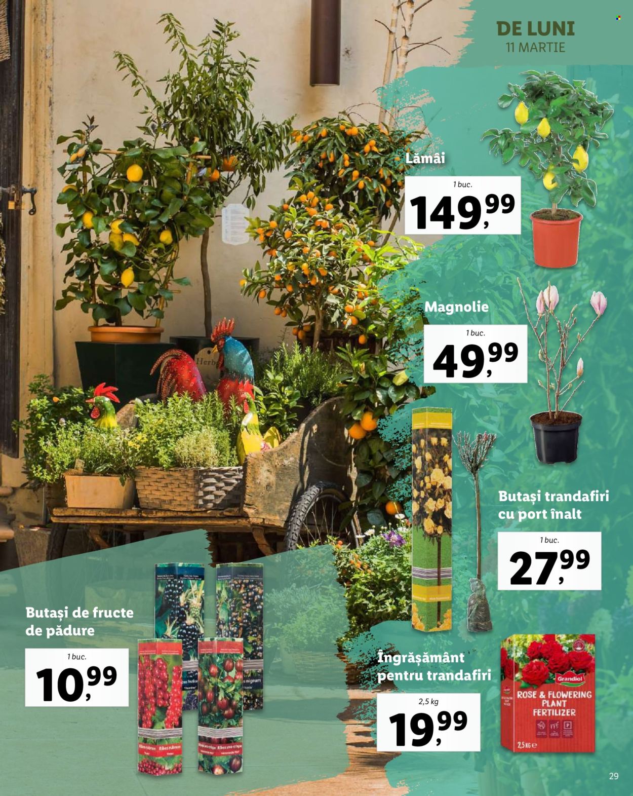 Catalog Lidl. Pagina 29