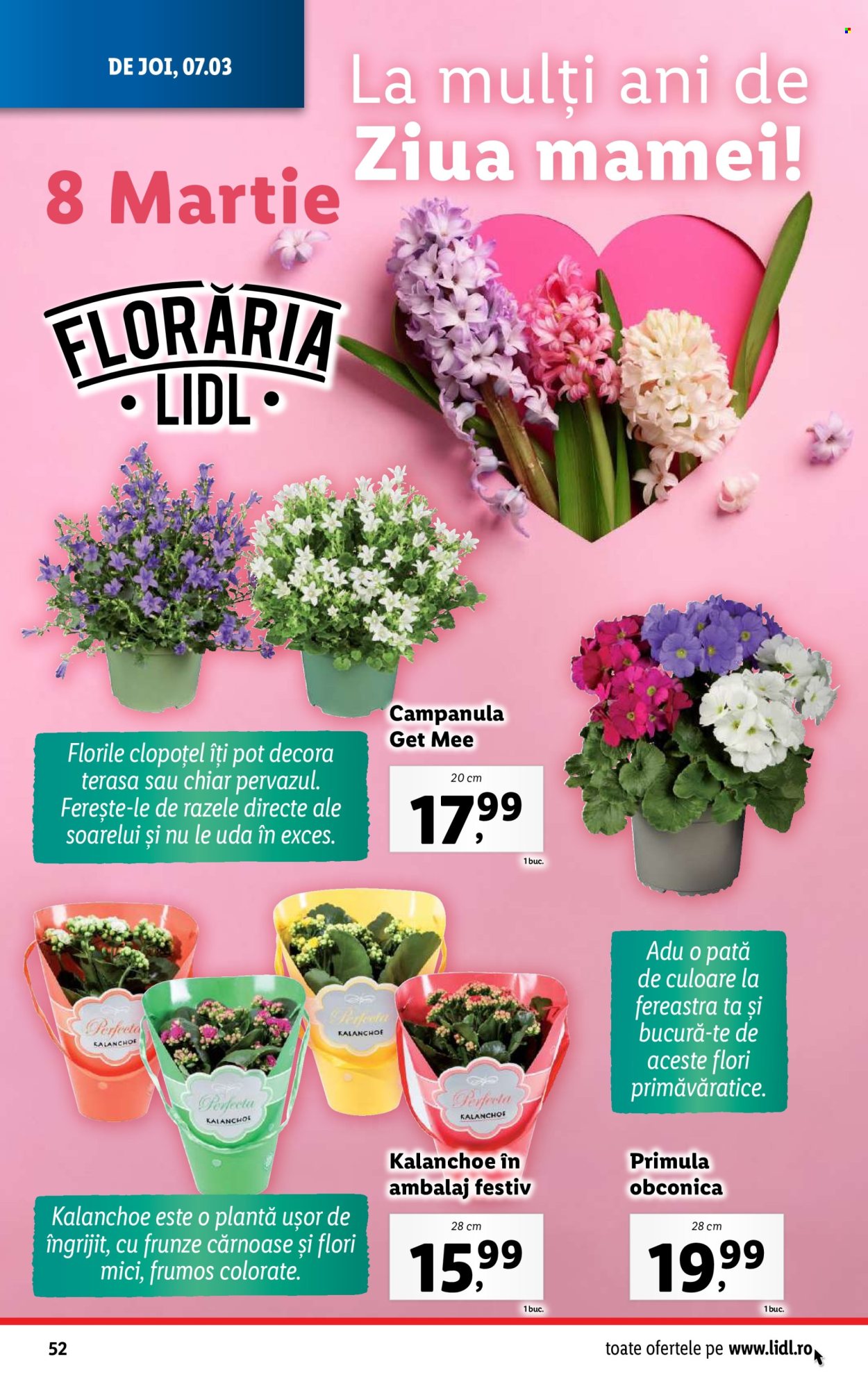 Catalog Lidl - 04.03.2024 - 10.03.2024. Pagina 52