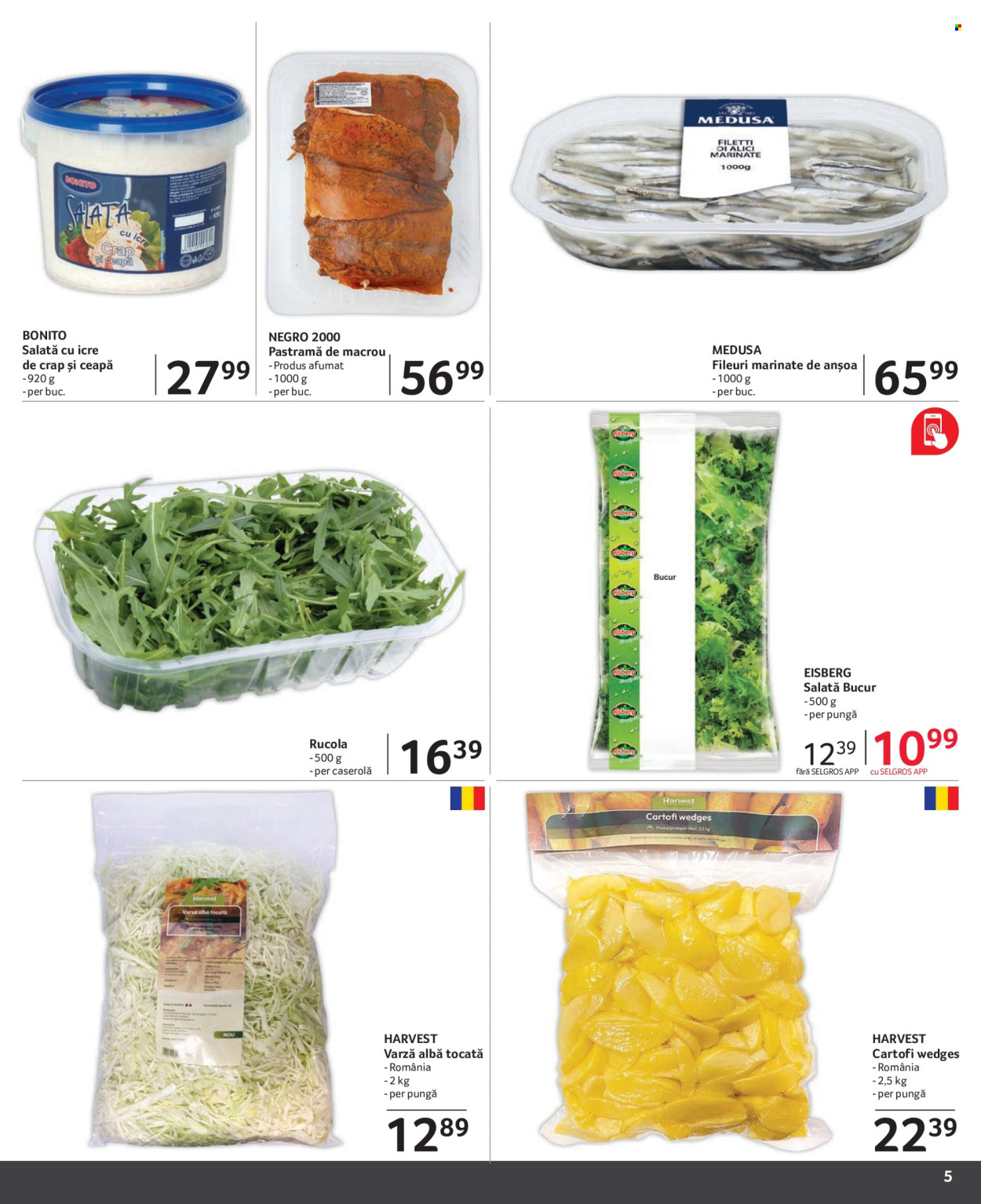 Catalog Selgros - 01.03.2024 - 31.03.2024. Pagina 5