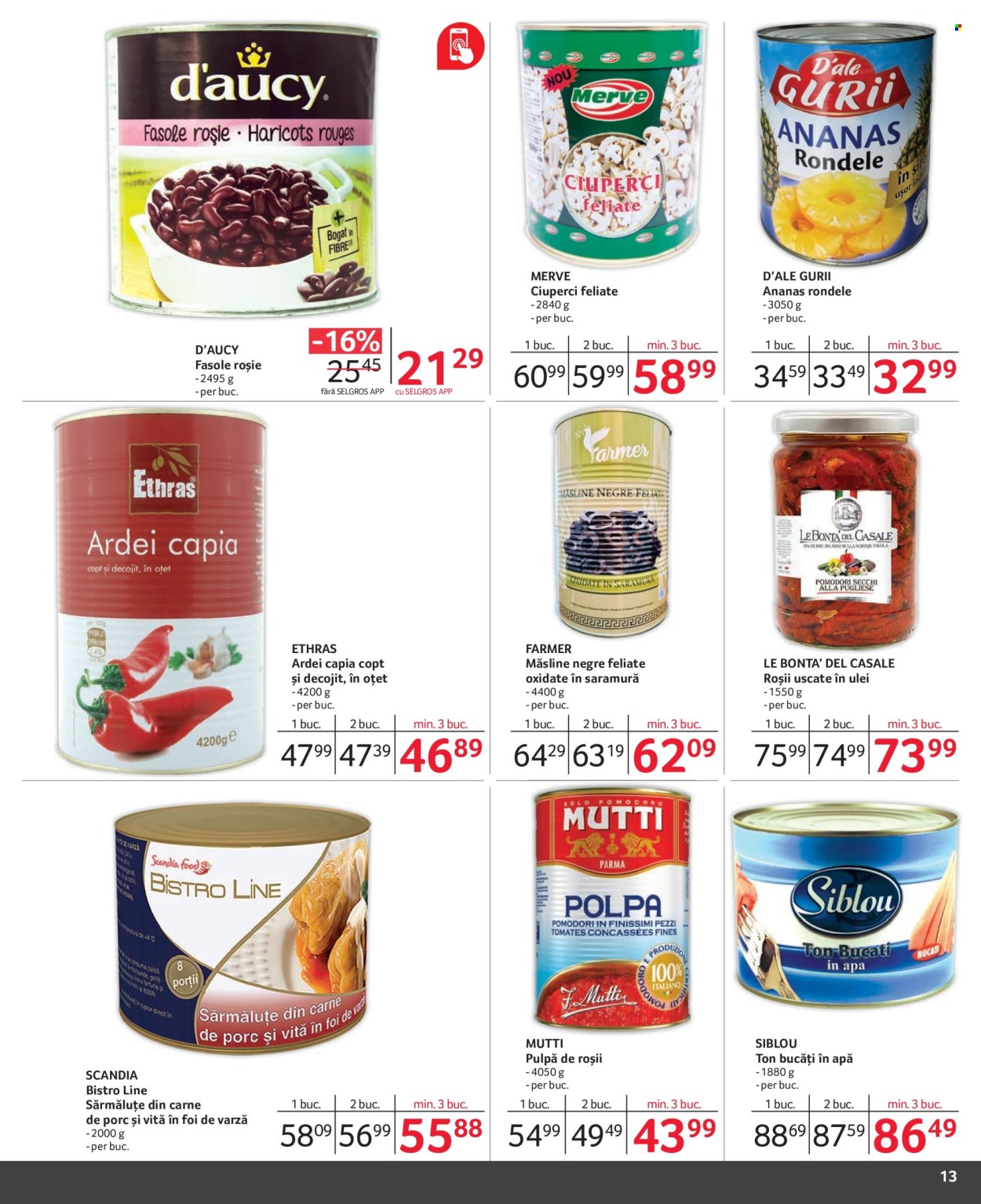 Catalog Selgros - 01.03.2024 - 31.03.2024. Pagina 13