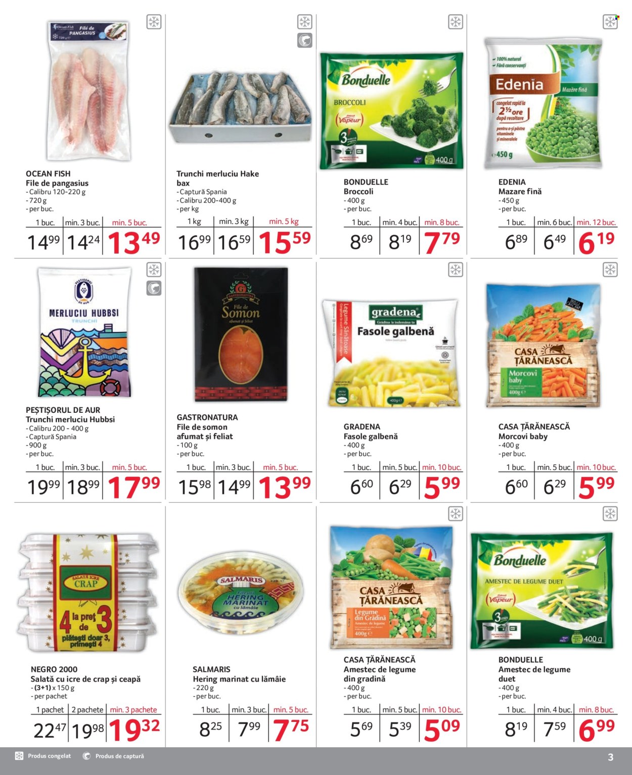 Catalog Selgros - 01.03.2024 - 31.03.2024. Pagina 3
