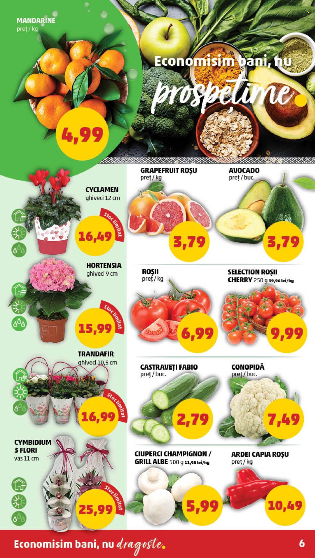 Catalog PENNY - 06.03.2024 - 12.03.2024. Pagina 6