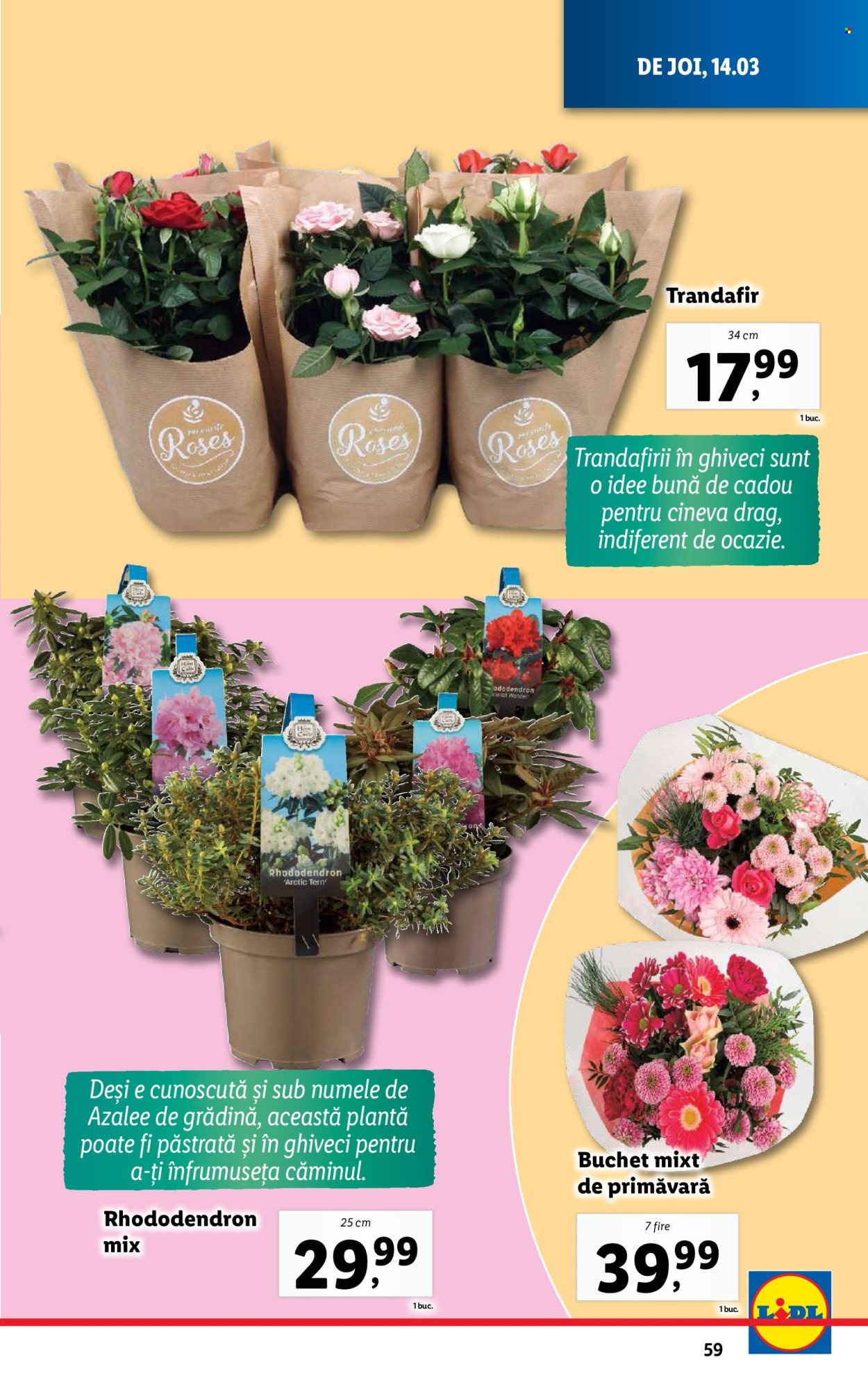 Catalog Lidl - 11.03.2024 - 17.03.2024. Pagina 59