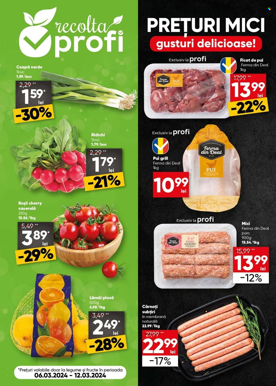 Catalog Profi Loco - 06.03.2024 - 19.03.2024. Pagina 6