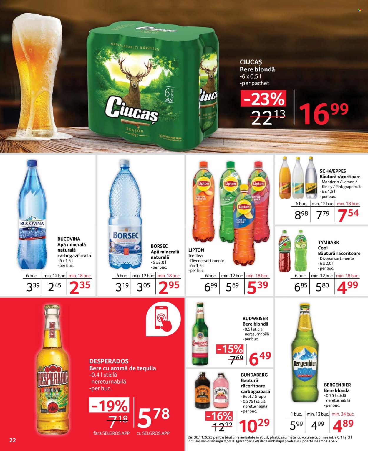 Catalog Selgros - 08.03.2024 - 21.03.2024. Pagina 22