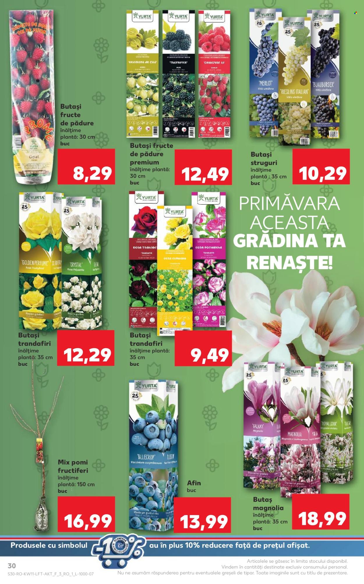 Catalog Kaufland - 13.03.2024 - 19.03.2024. Pagina 30
