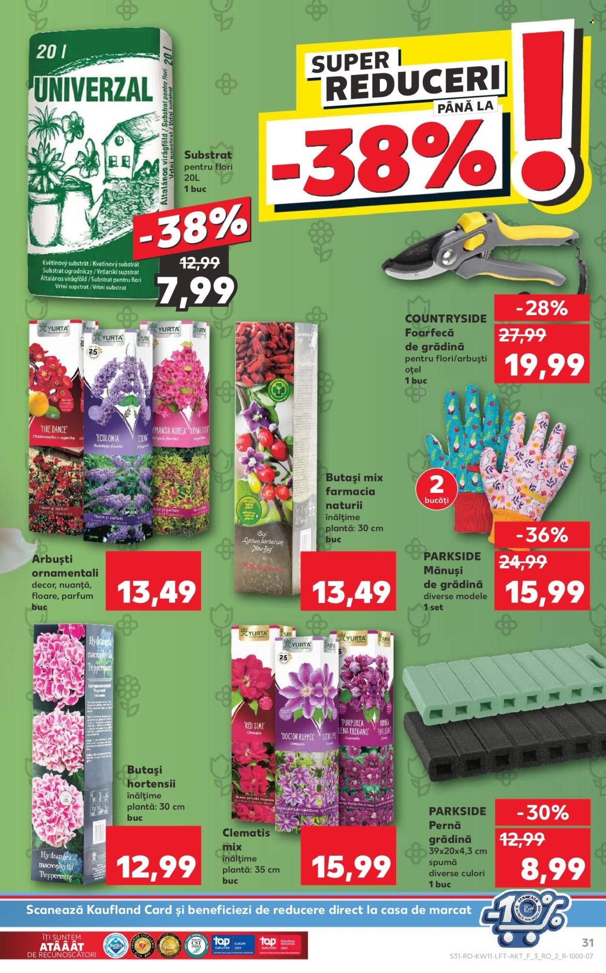 Catalog Kaufland - 13.03.2024 - 19.03.2024. Pagina 31
