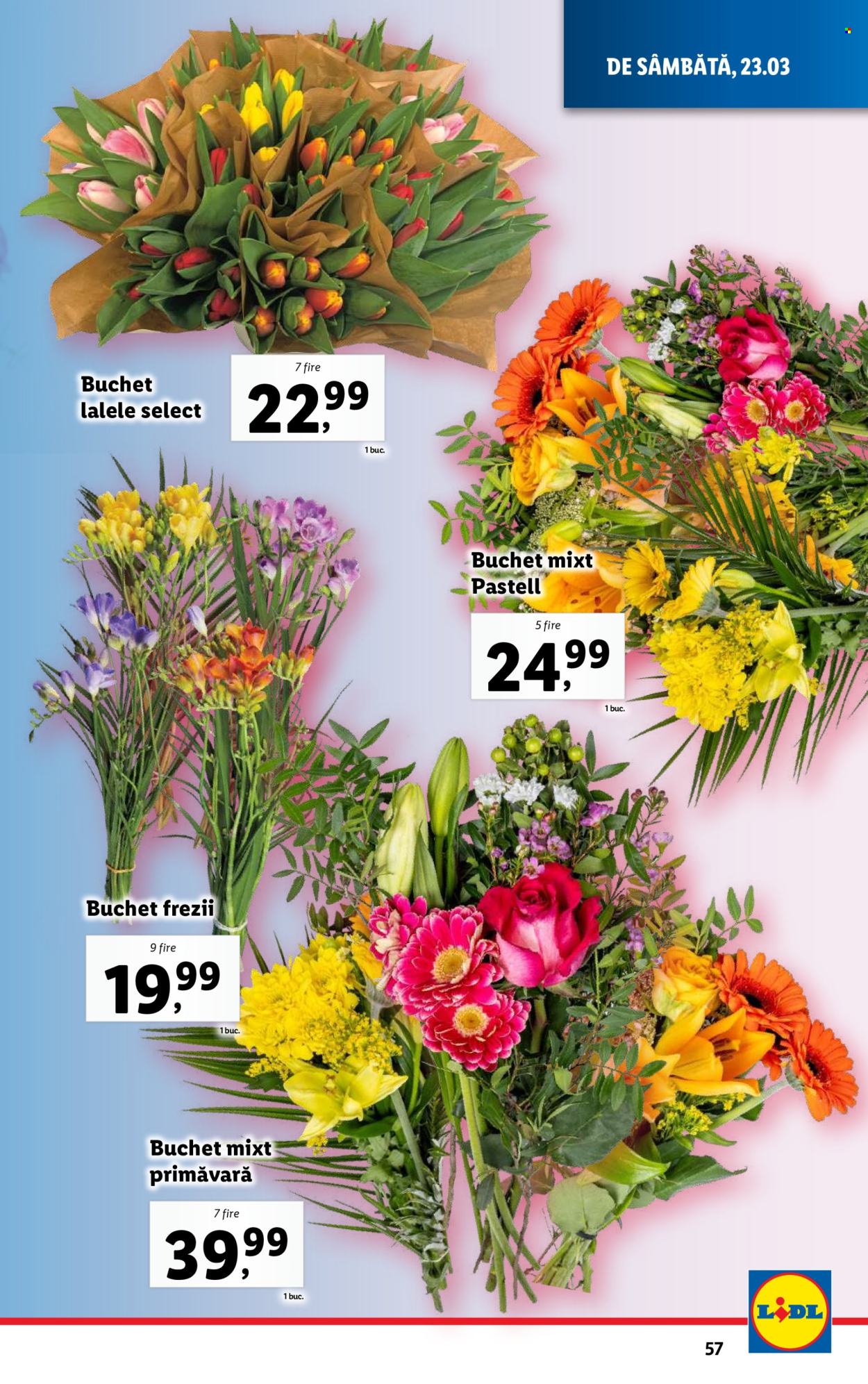 Catalog Lidl - 18.03.2024 - 24.03.2024. Pagina 57