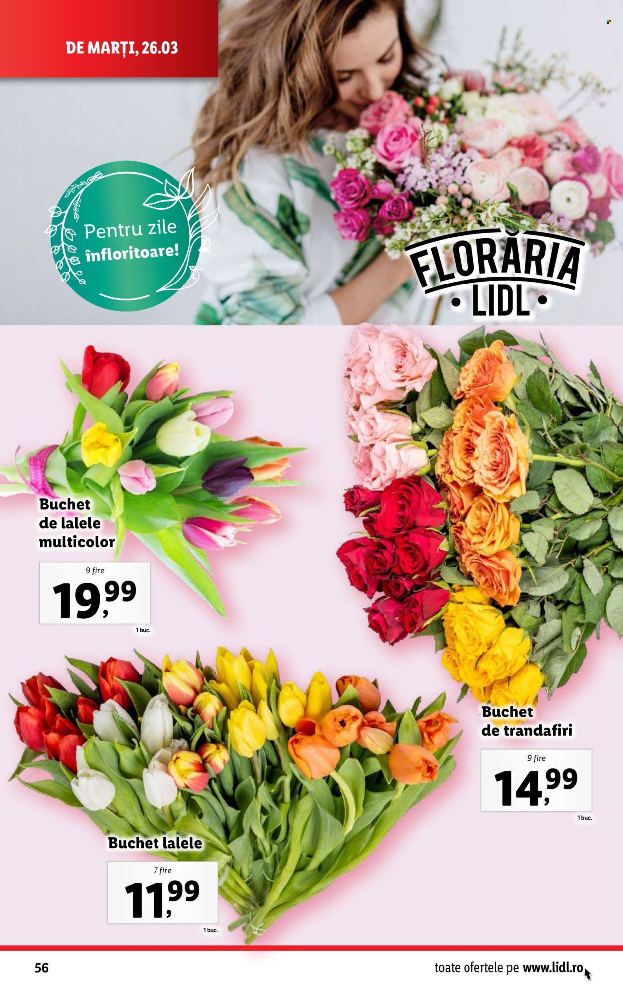 Catalog Lidl - 25.03.2024 - 31.03.2024. Pagina 56