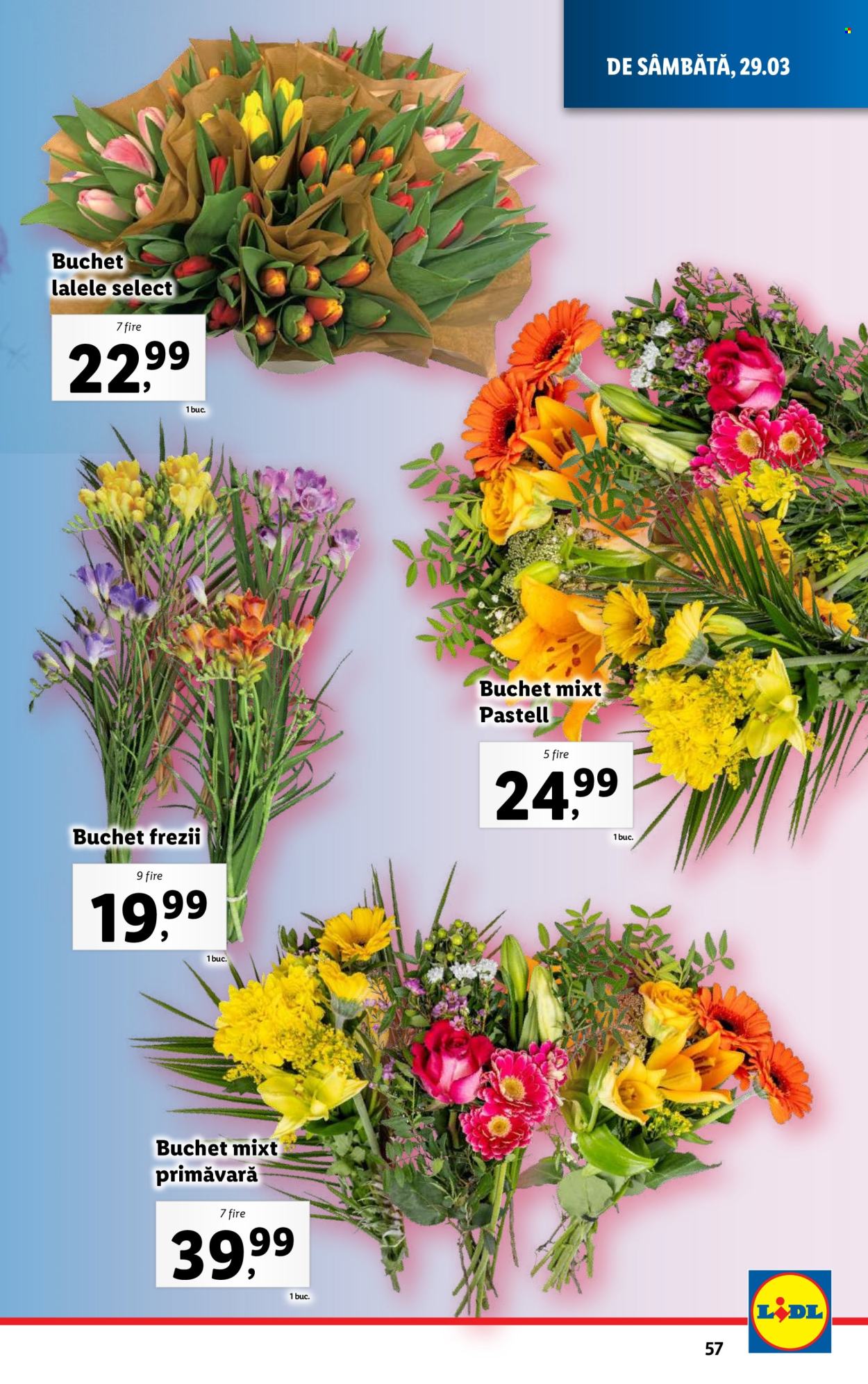 Catalog Lidl - 25.03.2024 - 31.03.2024. Pagina 57