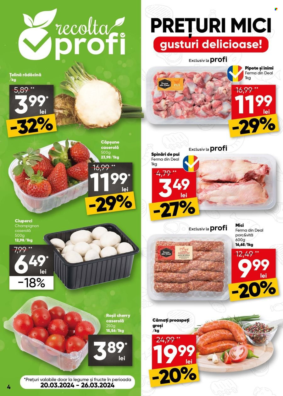 Catalog Profi Loco - 20.03.2024 - 02.04.2024. Pagina 4