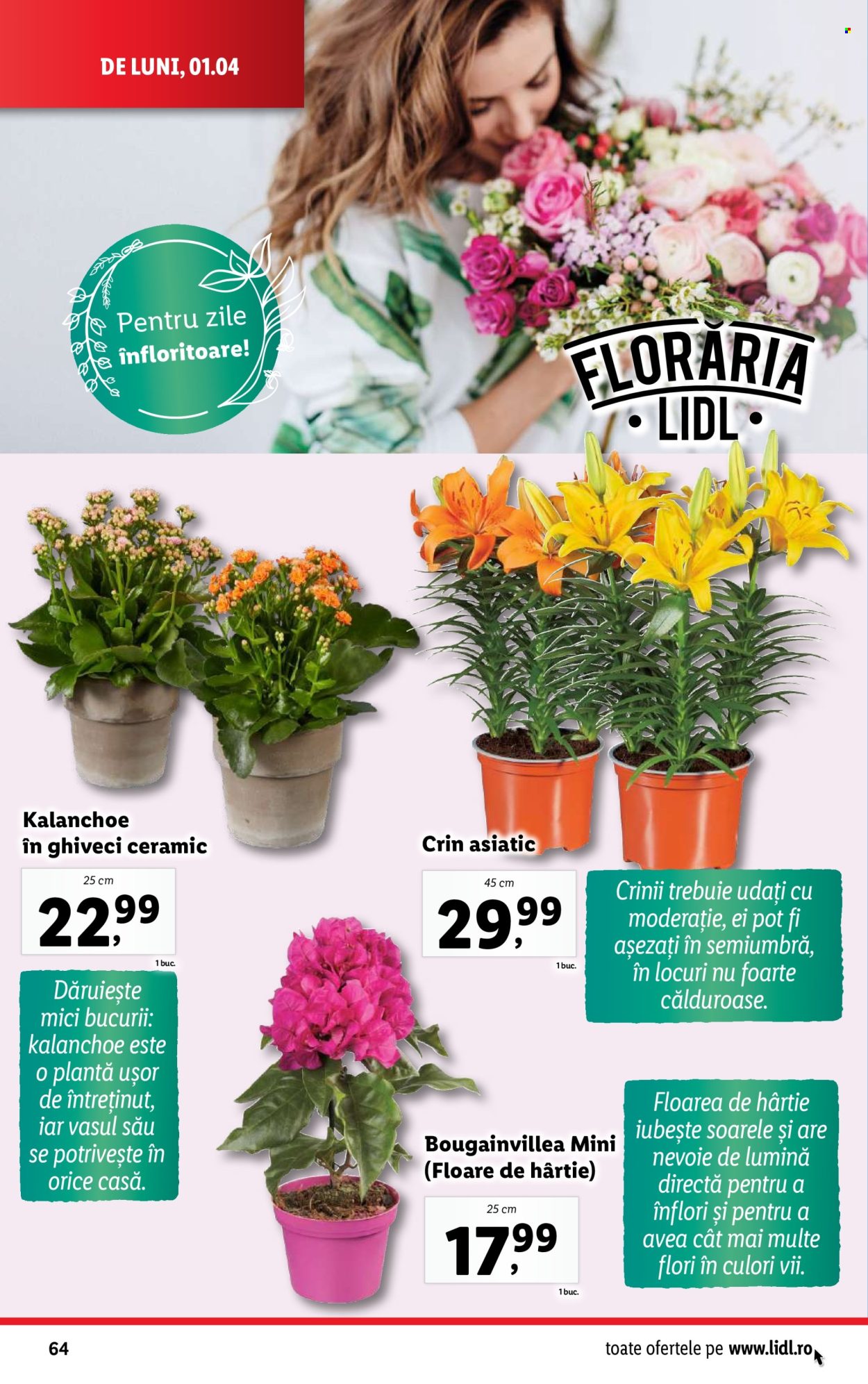 Catalog Lidl - 01.04.2024 - 07.04.2024. Pagina 64
