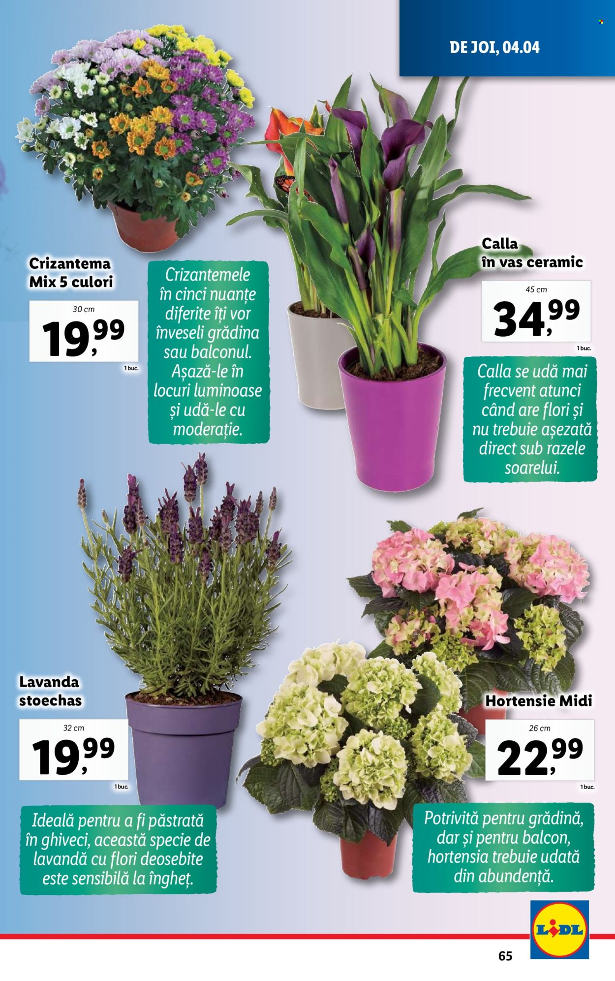 Catalog Lidl - 01.04.2024 - 07.04.2024. Pagina 65