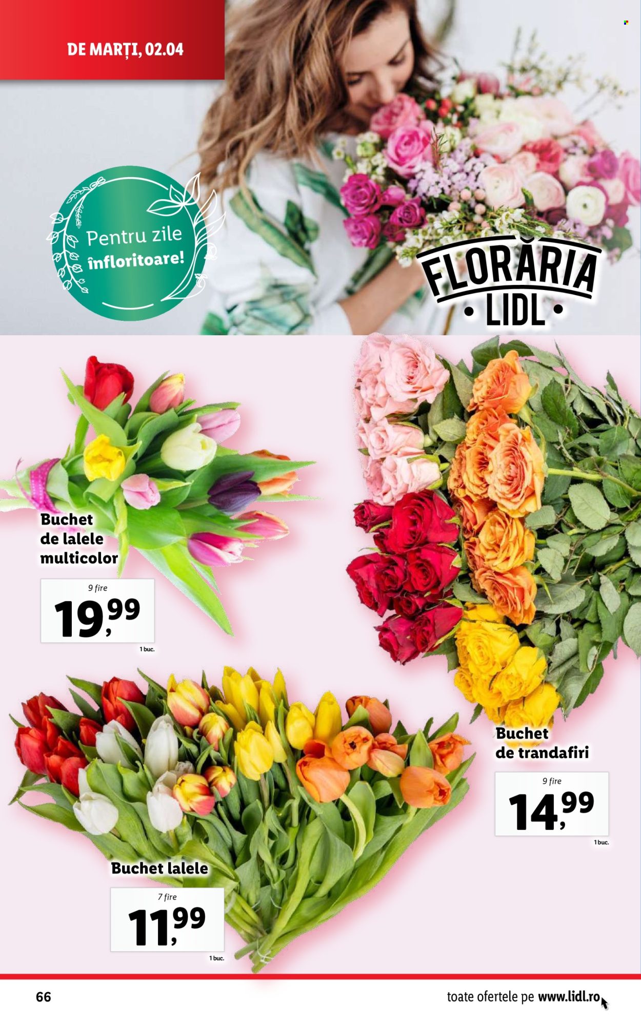 Catalog Lidl - 01.04.2024 - 07.04.2024. Pagina 66