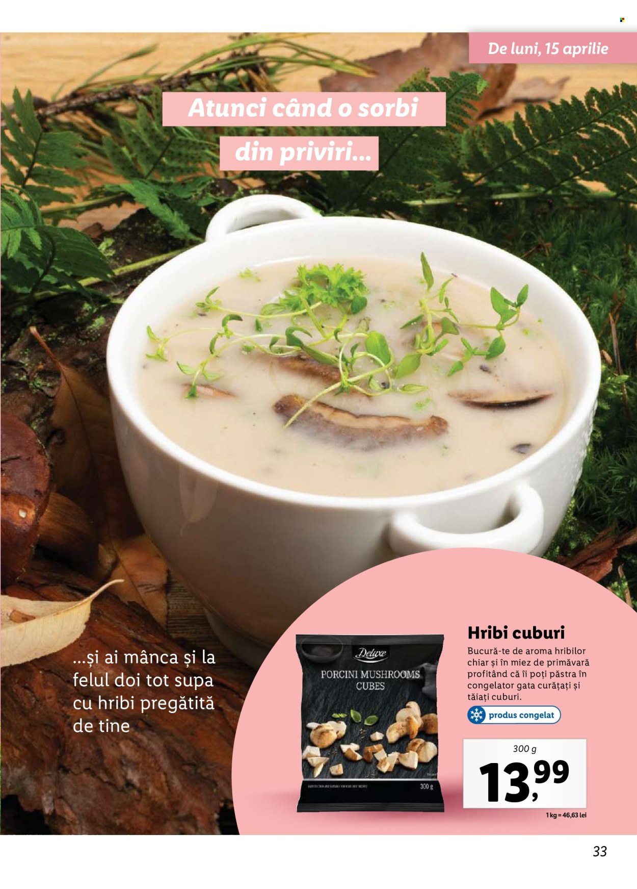 Catalog Lidl. Pagina 33