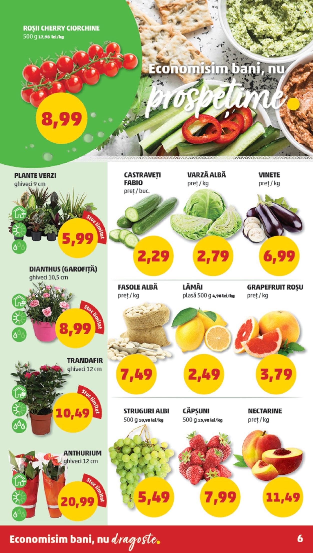 Catalog PENNY - 10.04.2024 - 16.04.2024. Pagina 6