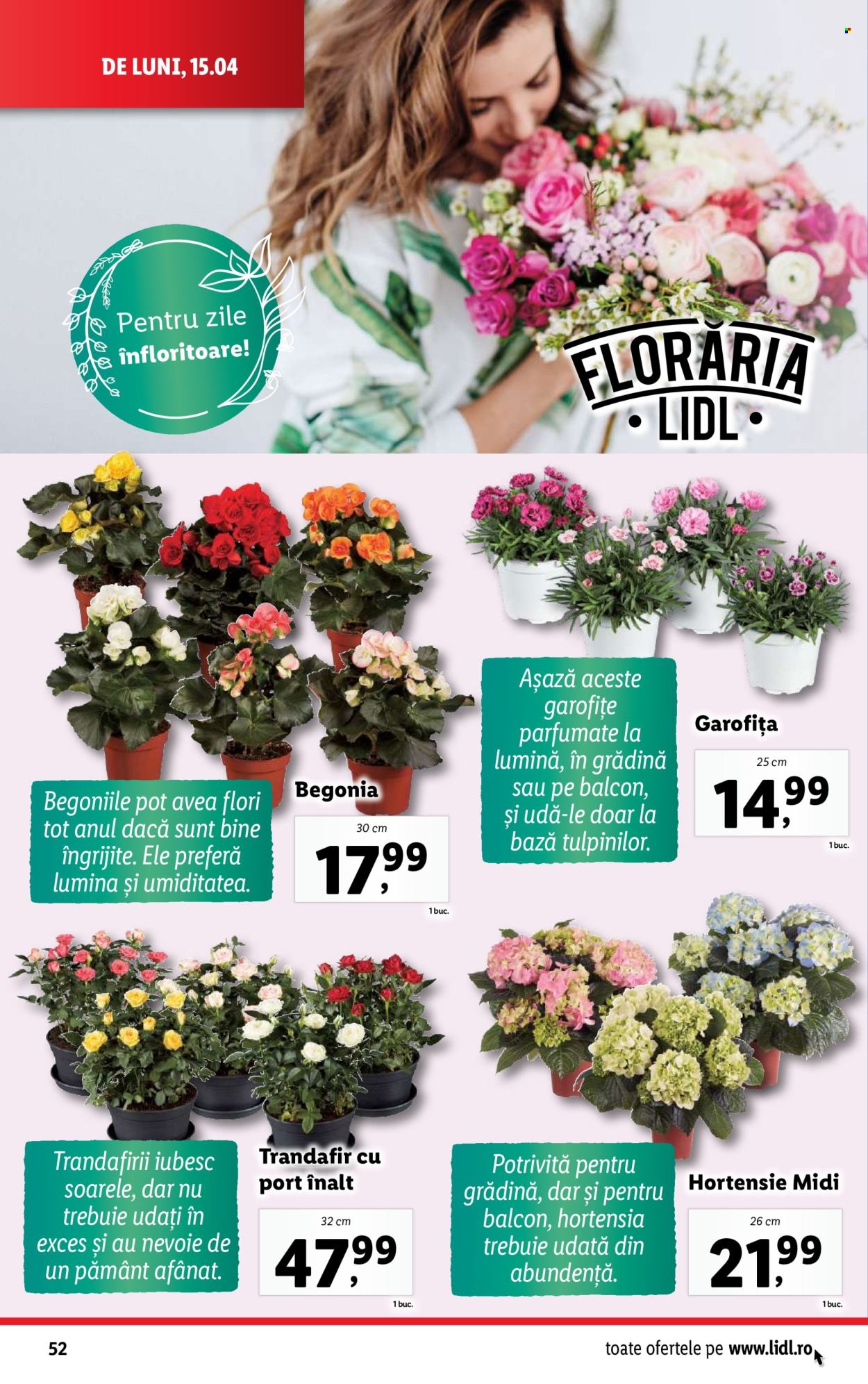 Catalog Lidl - 15.04.2024 - 21.04.2024. Pagina 52