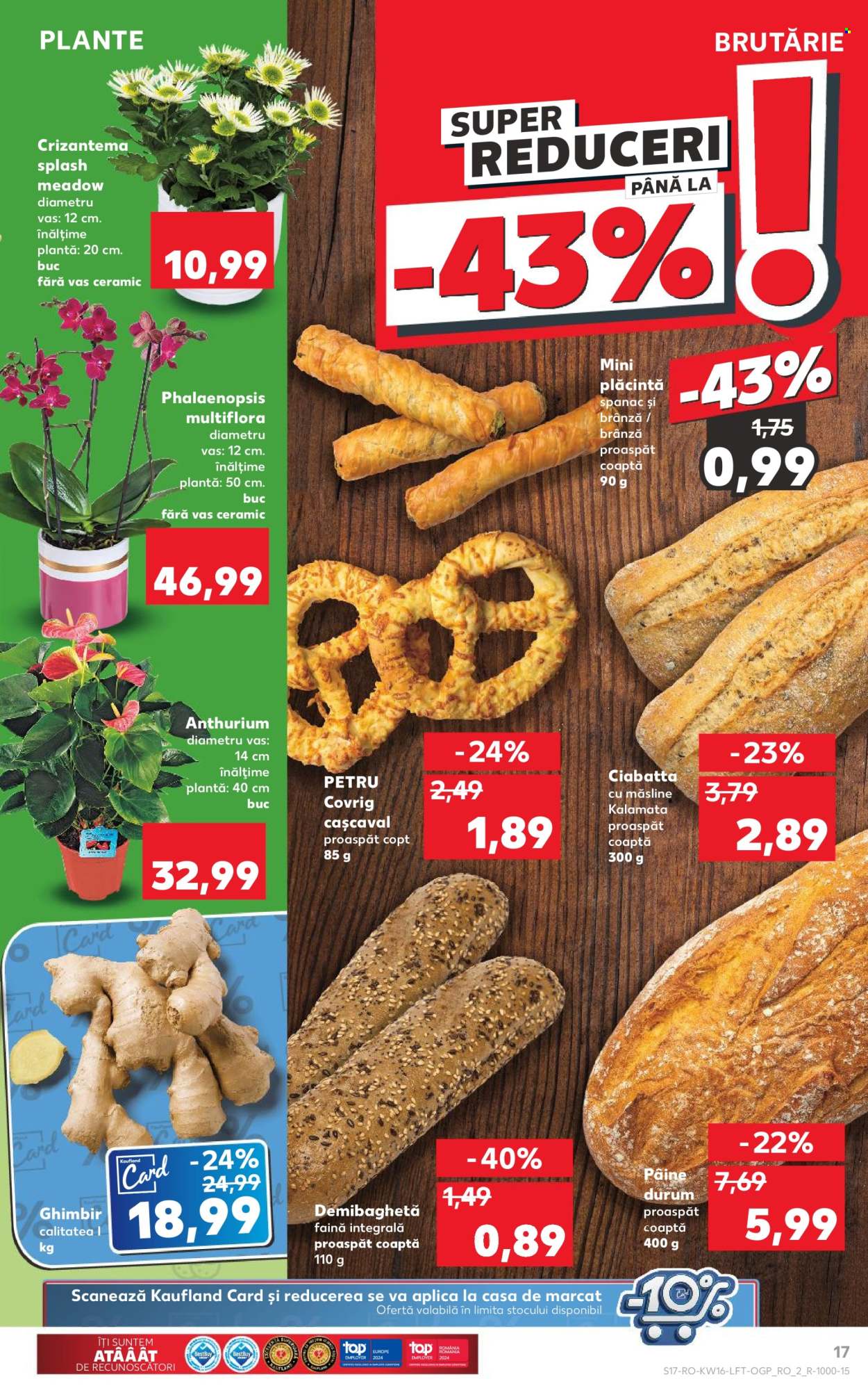Catalog Kaufland - 17.04.2024 - 23.04.2024. Pagina 17