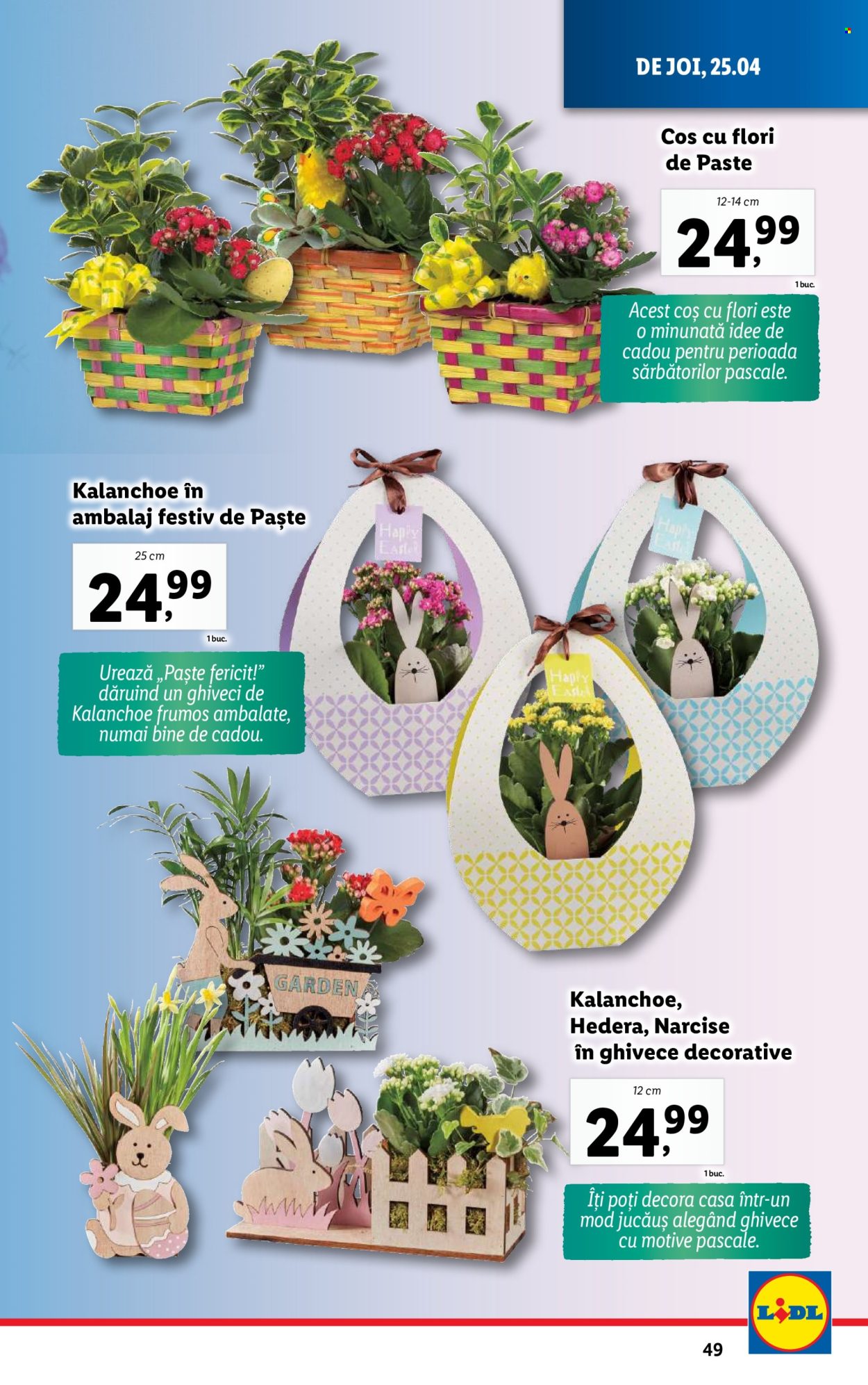 Catalog Lidl - 22.04.2024 - 28.04.2024. Pagina 49