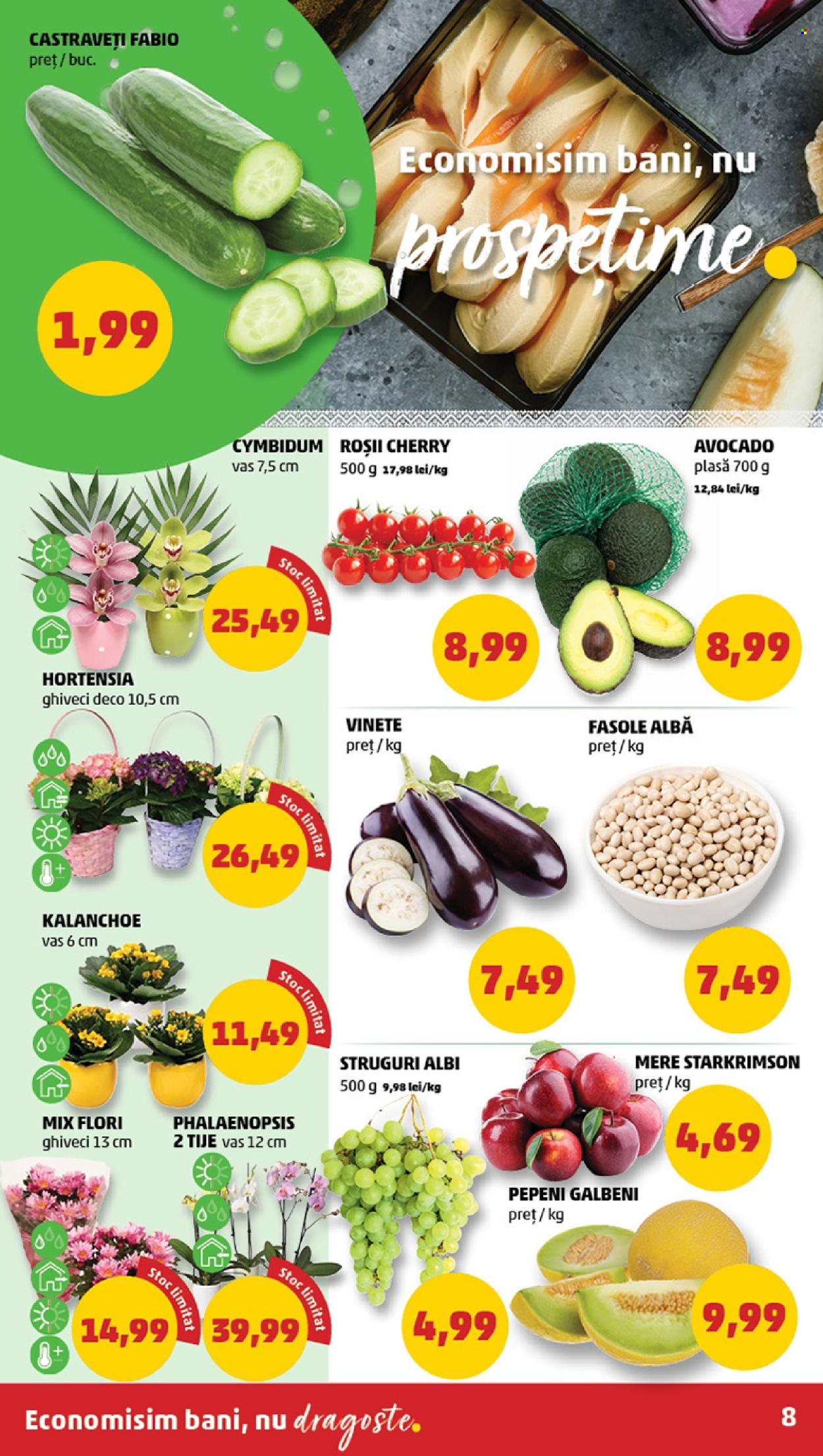 Catalog PENNY - 24.04.2024 - 30.04.2024. Pagina 8