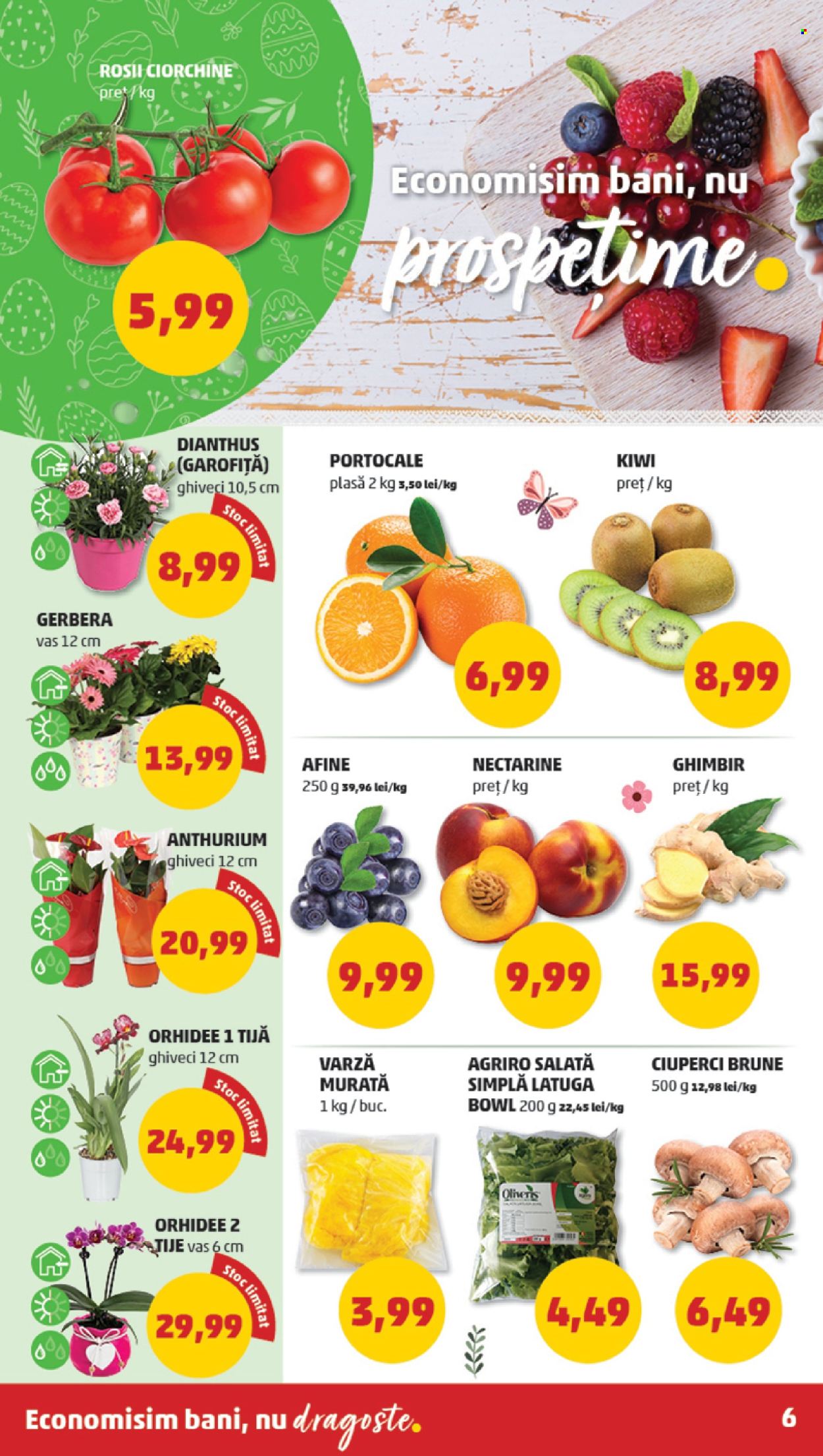 Catalog PENNY - 01.05.2024 - 07.05.2024. Pagina 6