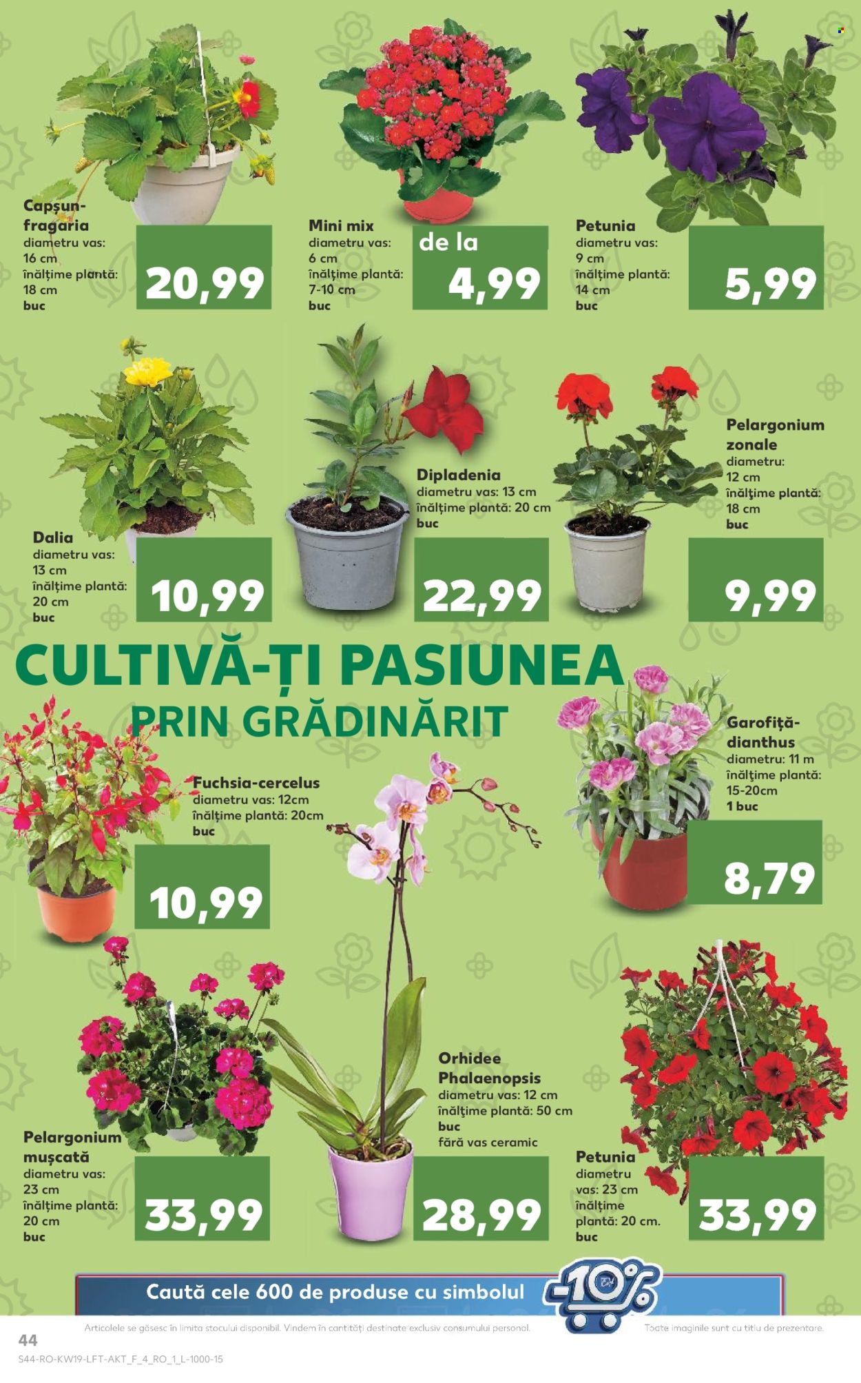 Catalog Kaufland - 08.05.2024 - 14.05.2024. Pagina 44