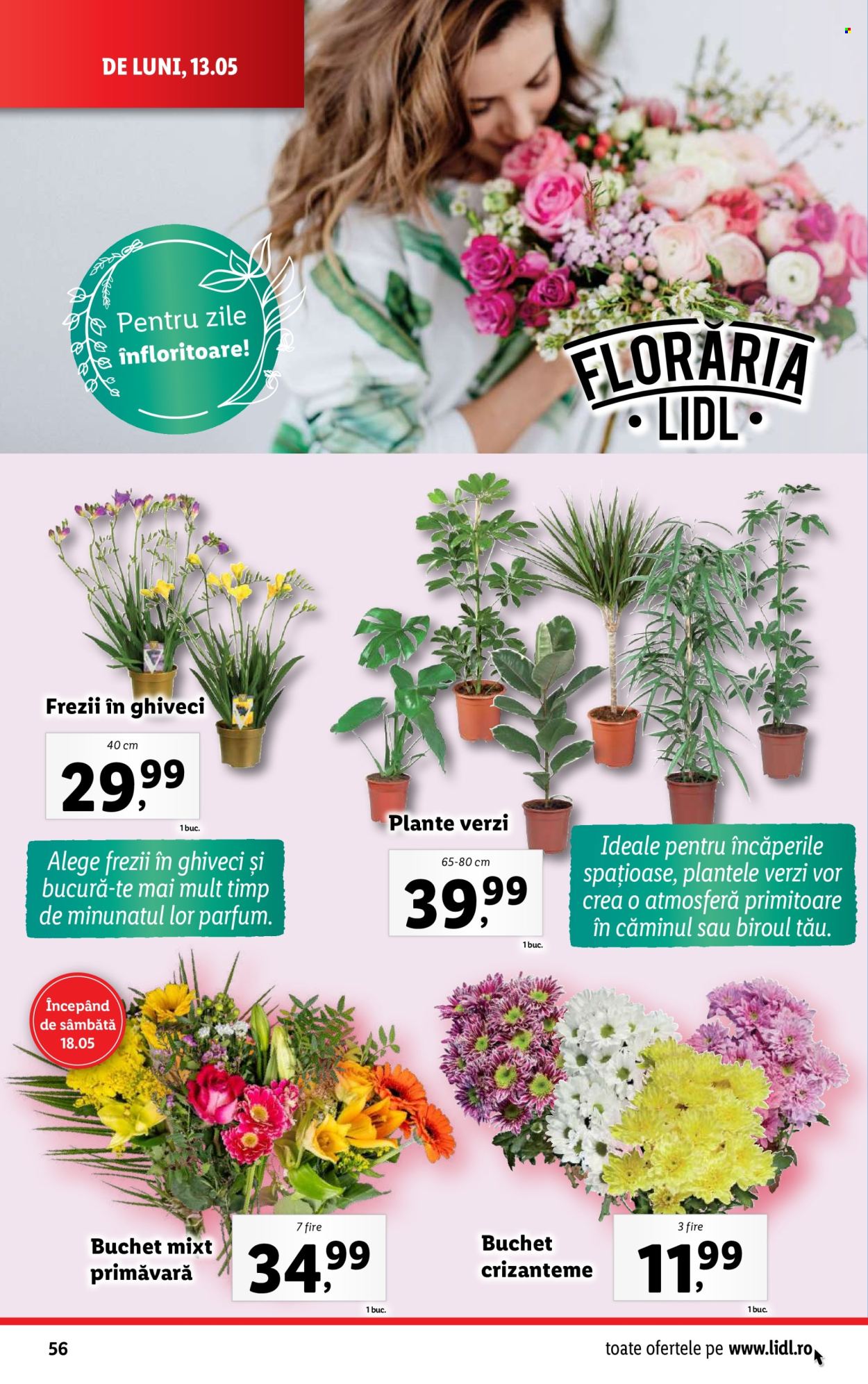 Catalog Lidl - 13.05.2024 - 19.05.2024. Pagina 56