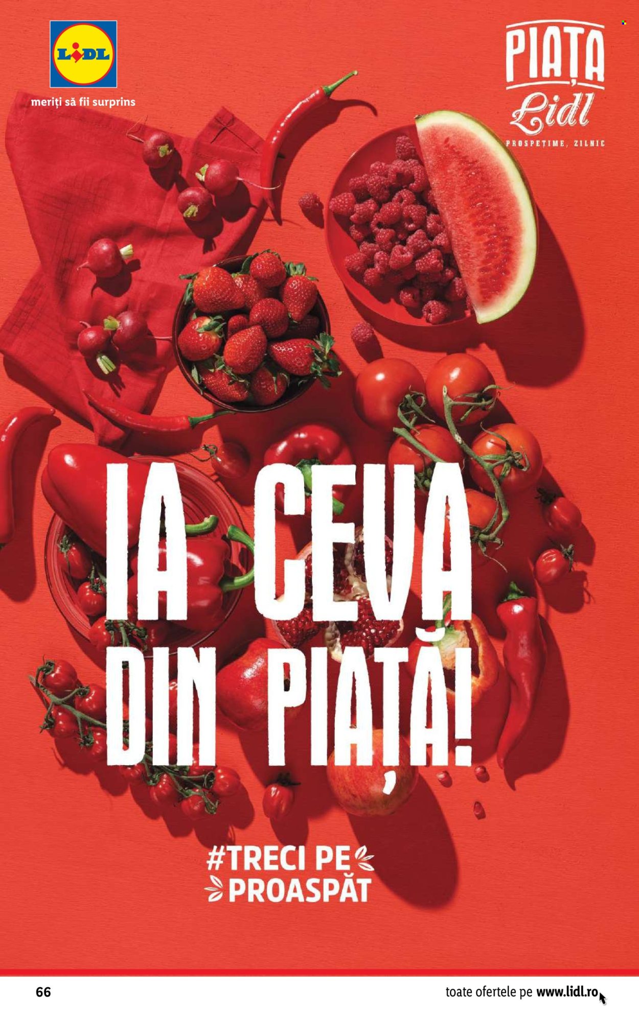 Catalog Lidl - 20.05.2024 - 26.05.2024. Pagina 66