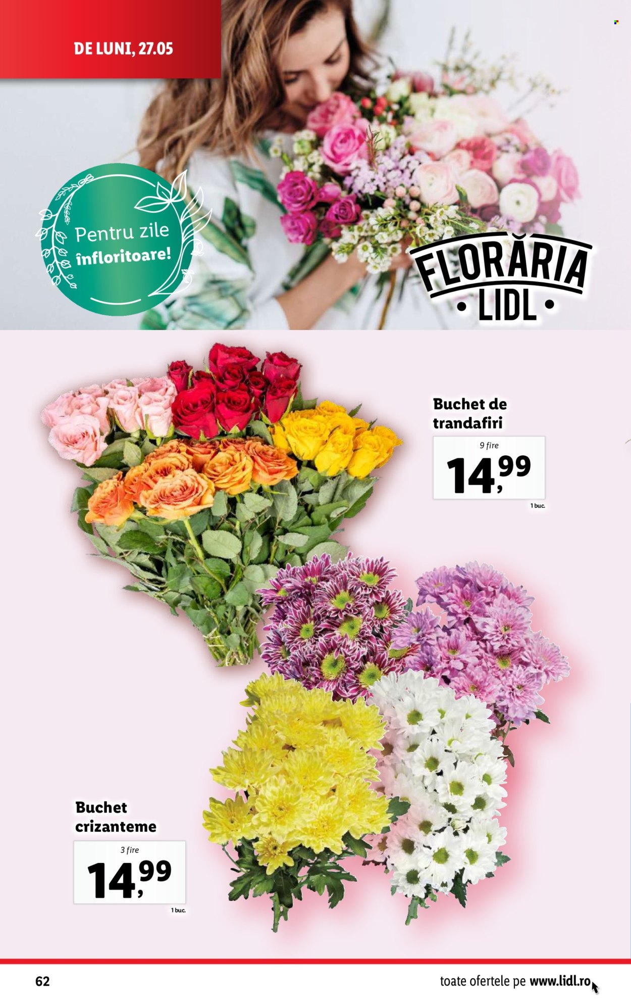Catalog Lidl - 27.05.2024 - 02.06.2024. Pagina 62