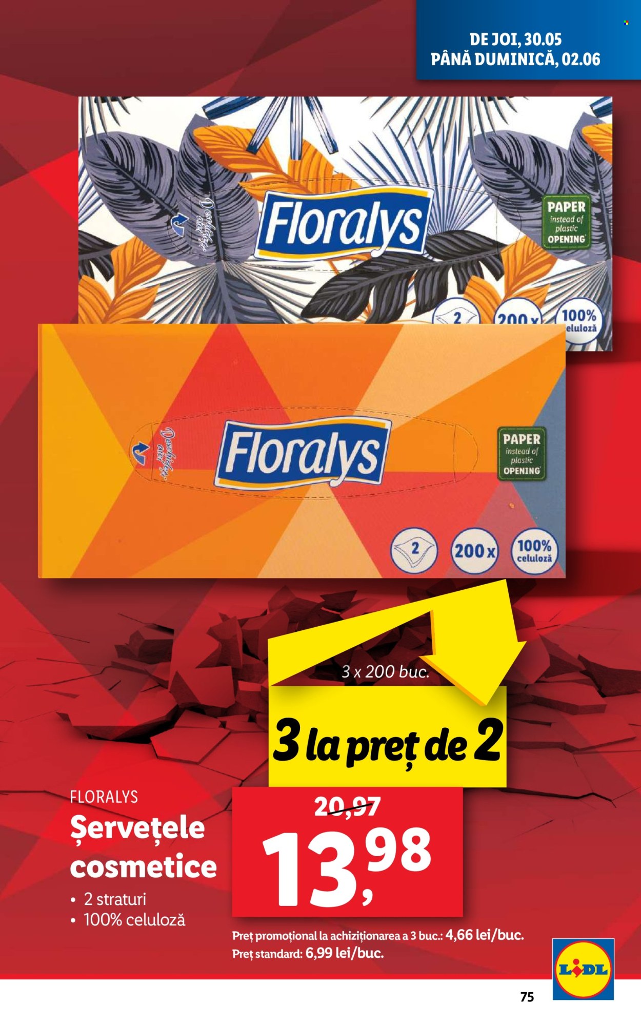 Catalog Lidl - 27.05.2024 - 02.06.2024. Pagina 75