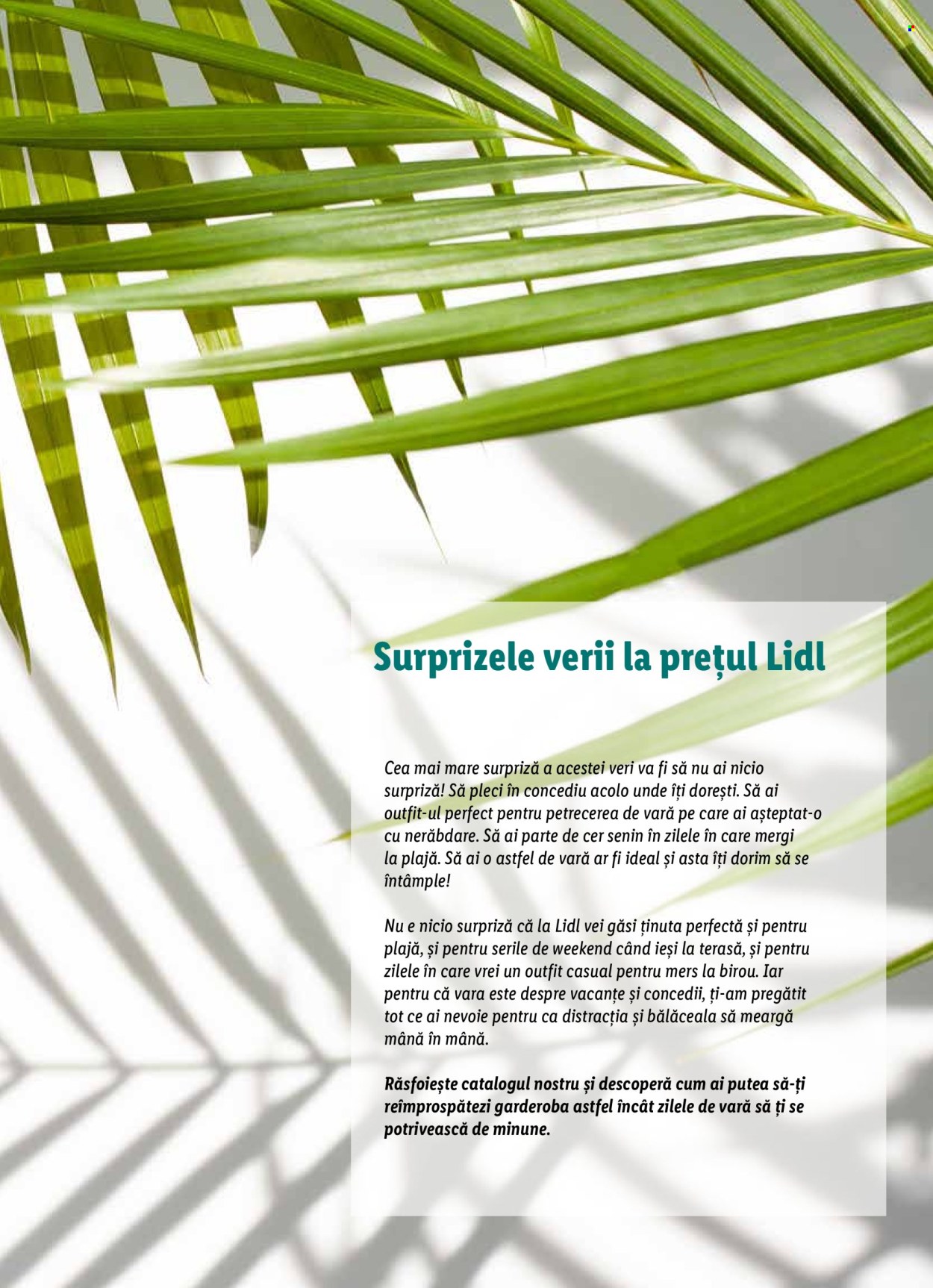 Catalog Lidl. Pagina 3