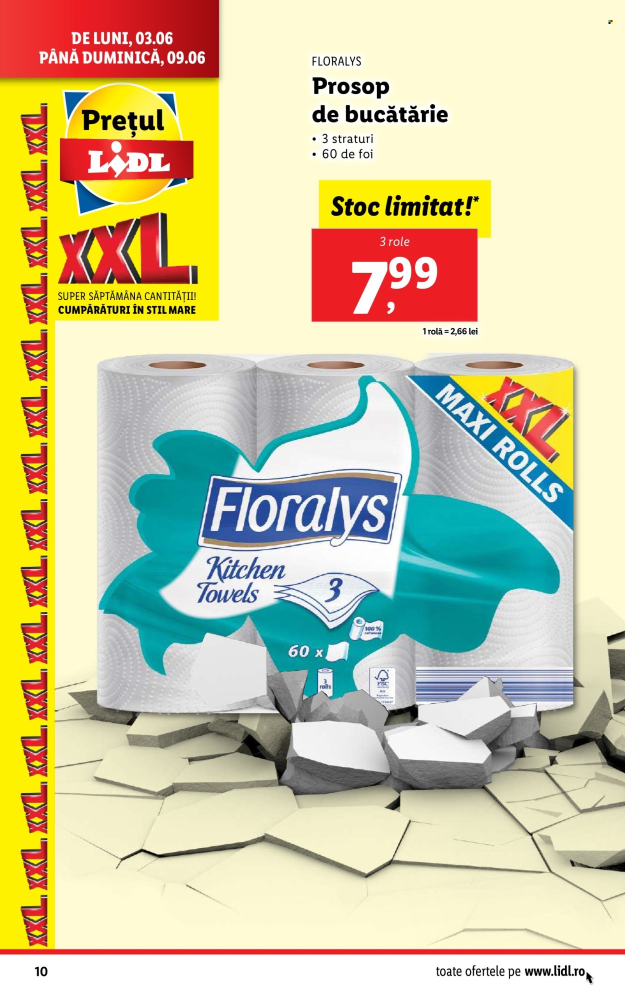 Catalog Lidl - 03.06.2024 - 09.06.2024. Pagina 10