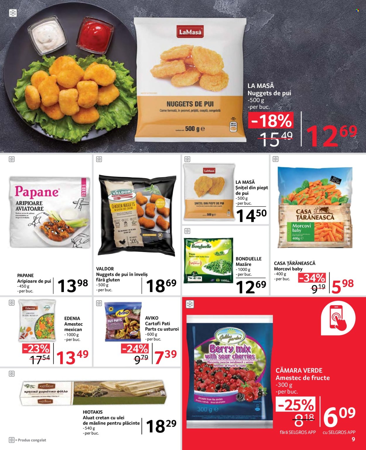 Catalog Selgros - 31.05.2024 - 13.06.2024. Pagina 9