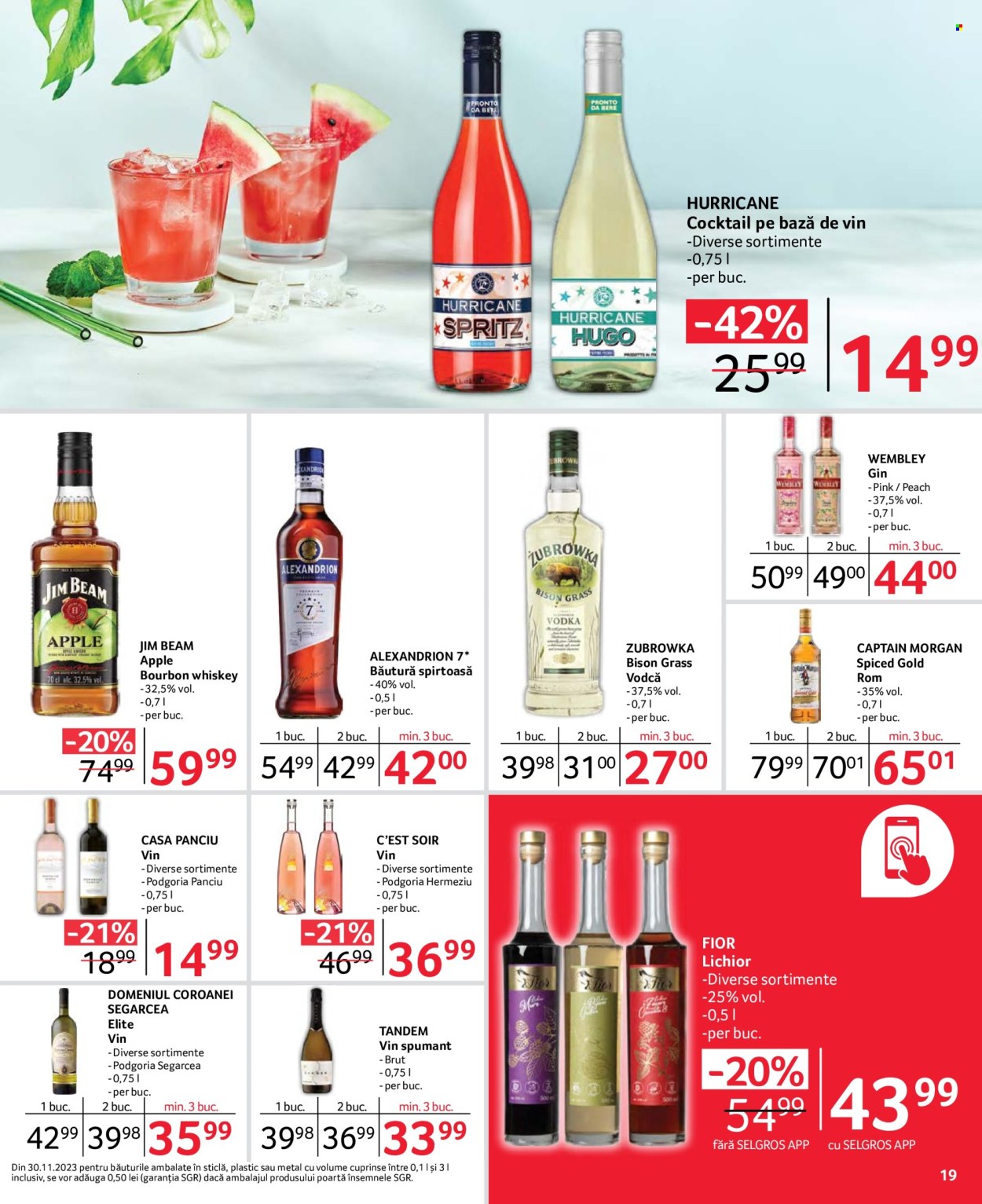 Catalog Selgros - 31.05.2024 - 13.06.2024. Pagina 19