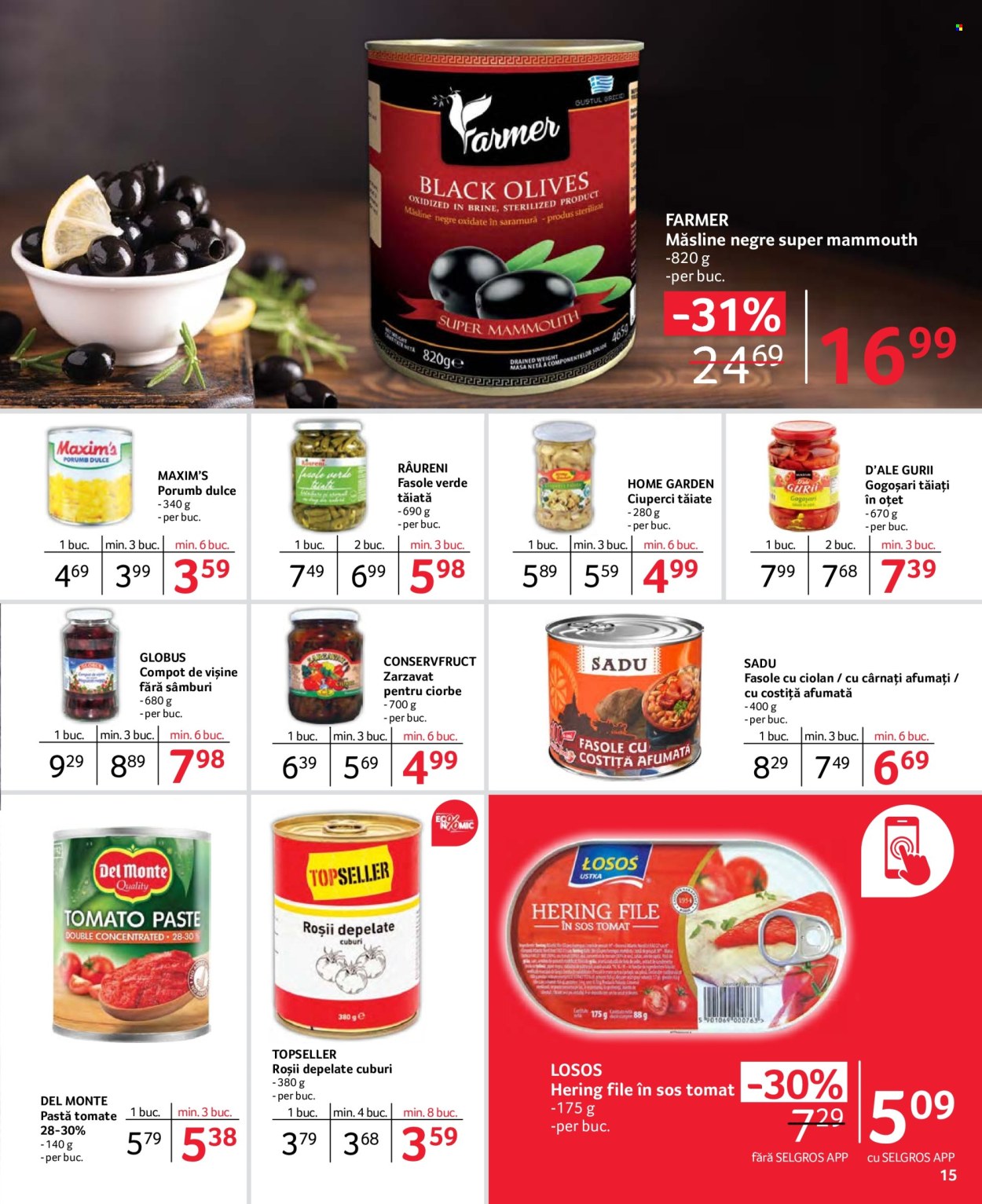 Catalog Selgros - 31.05.2024 - 13.06.2024. Pagina 49