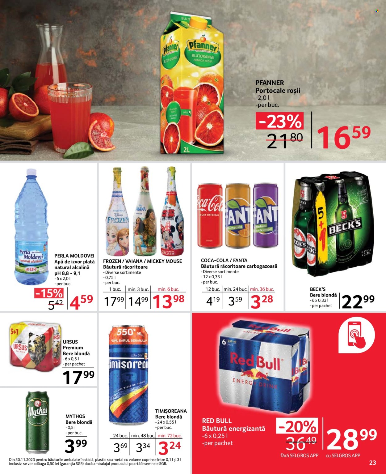 Catalog Selgros - 31.05.2024 - 13.06.2024. Pagina 55