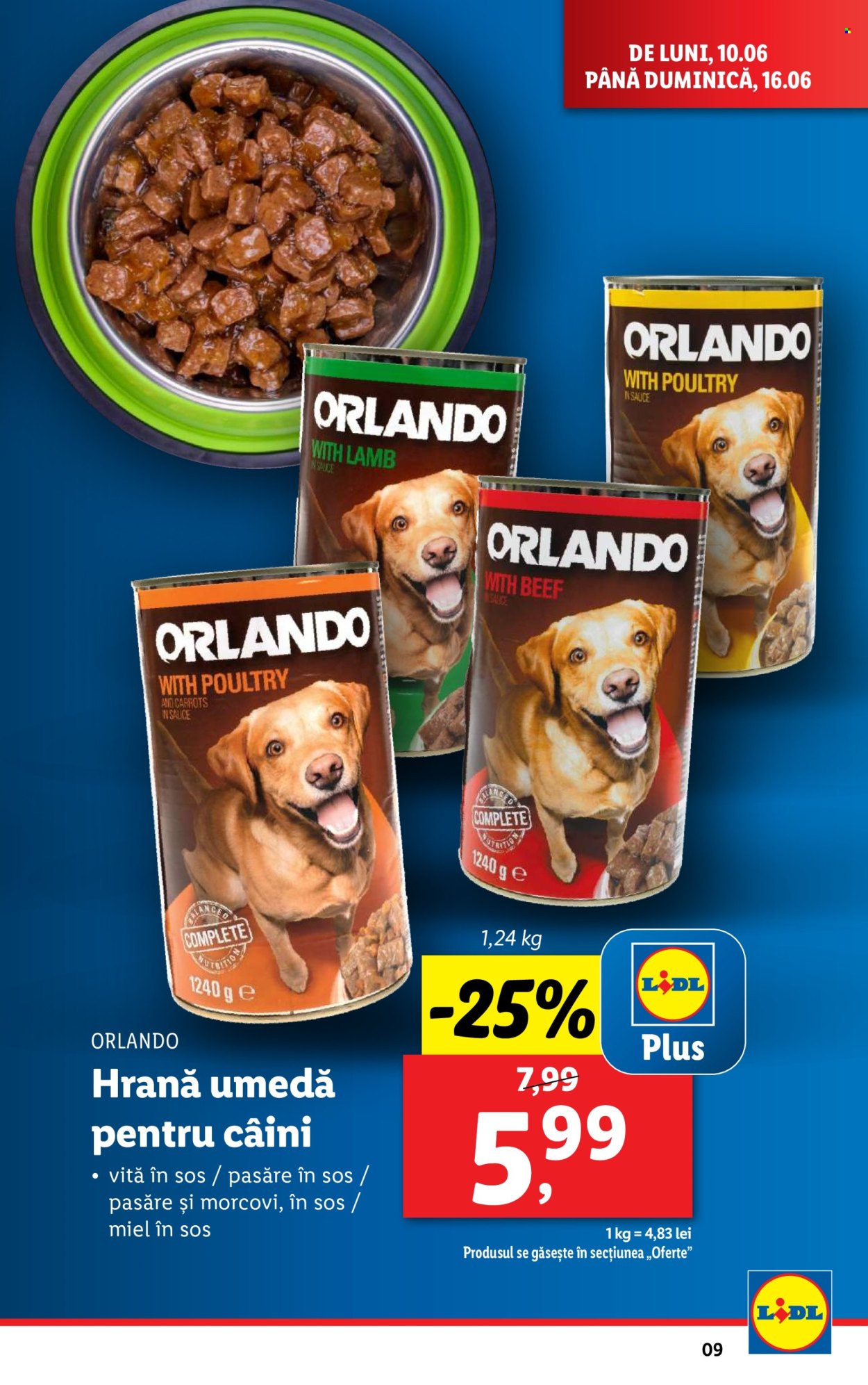 Catalog Lidl - 10.06.2024 - 16.06.2024. Pagina 9