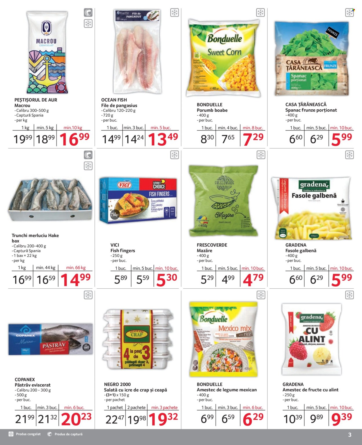 Catalog Selgros - 01.06.2024 - 30.06.2024. Pagina 3