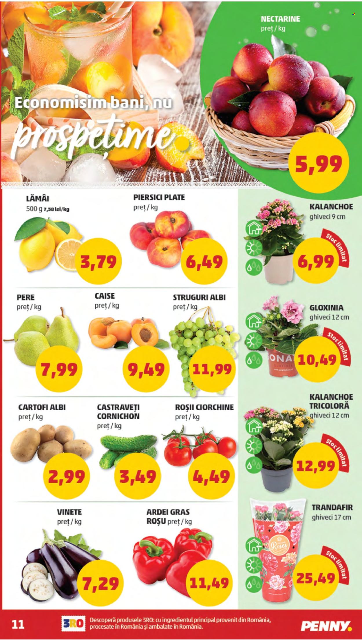 Catalog PENNY - 12.06.2024 - 18.06.2024. Pagina 11