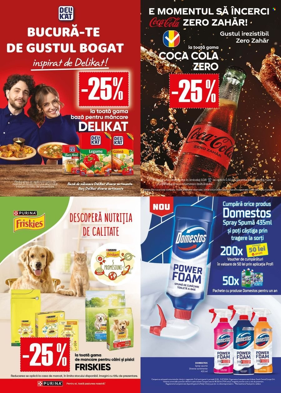 Catalog Profi Loco - 12.06.2024 - 25.06.2024. Pagina 11