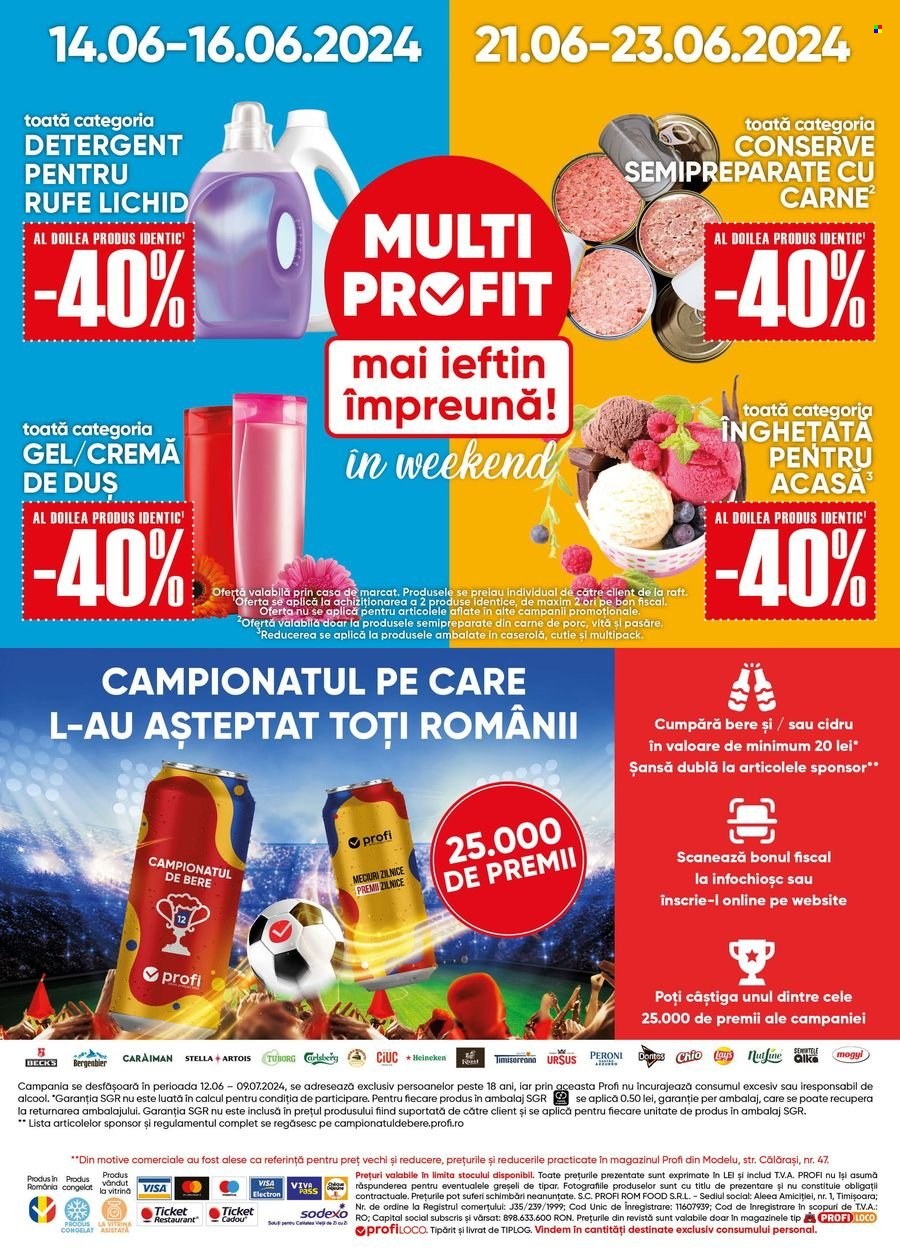 Catalog Profi Loco - 12.06.2024 - 25.06.2024. Pagina 13
