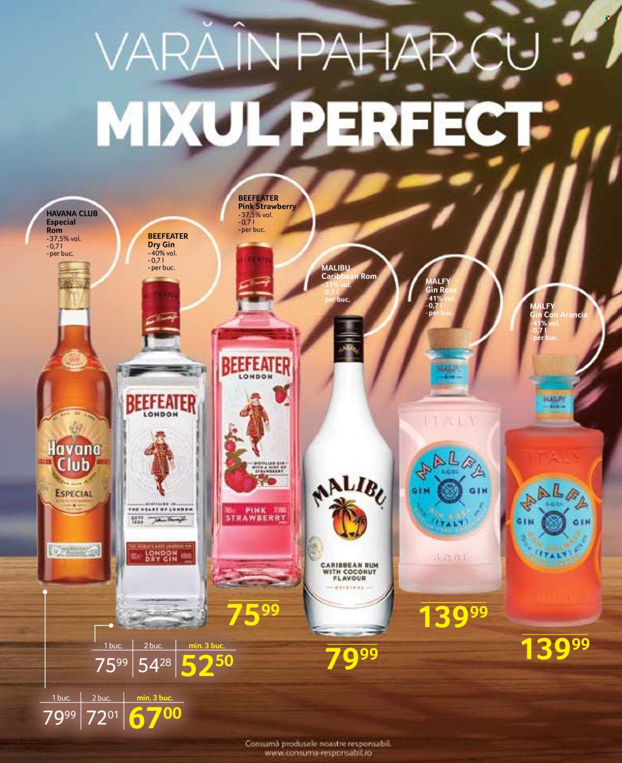 Catalog Selgros - 14.06.2024 - 27.06.2024. Pagina 23