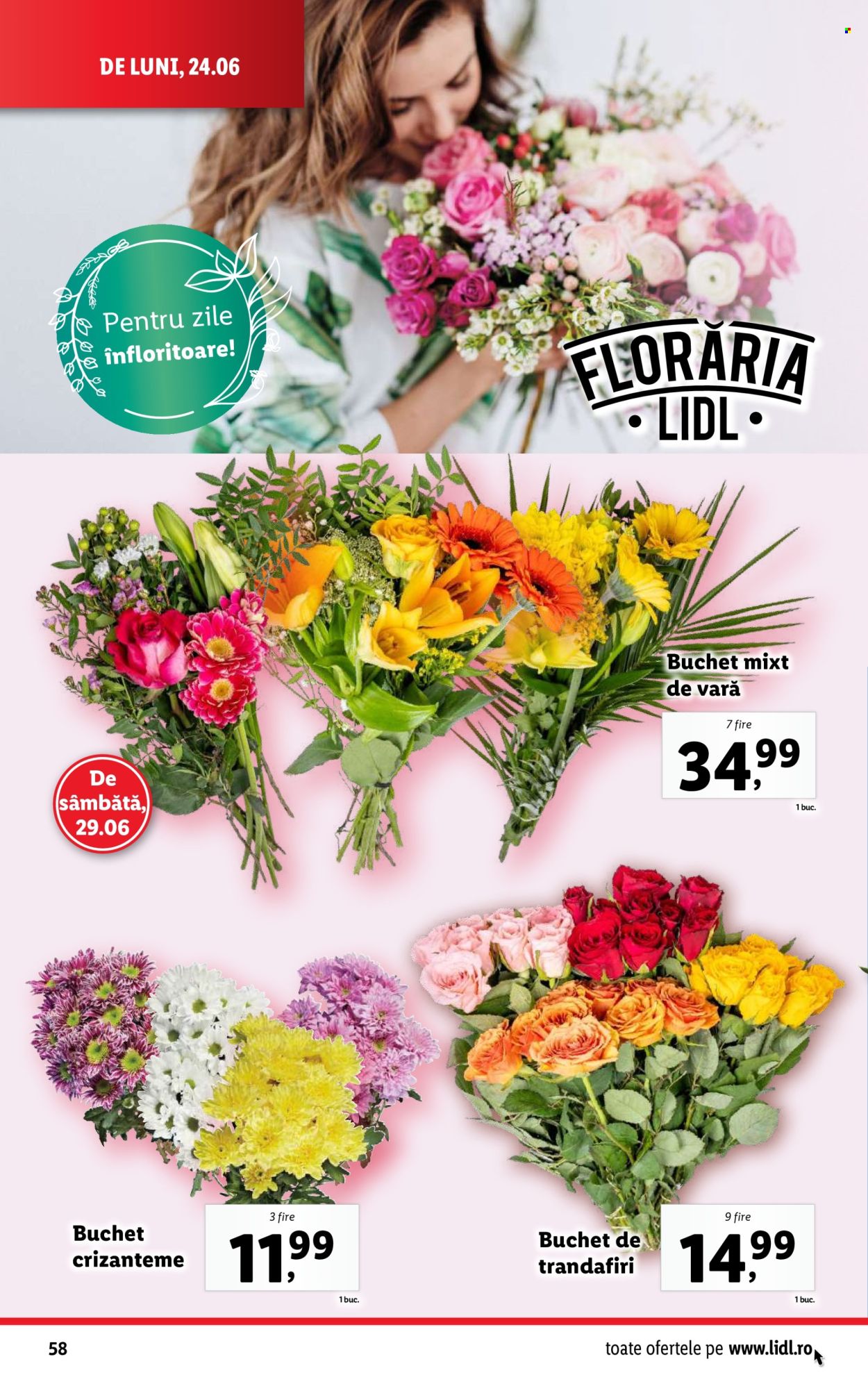 Catalog Lidl - 24.06.2024 - 30.06.2024. Pagina 58