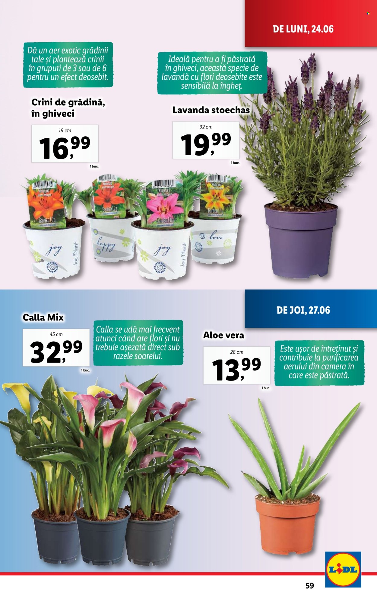 Catalog Lidl - 24.06.2024 - 30.06.2024. Pagina 59
