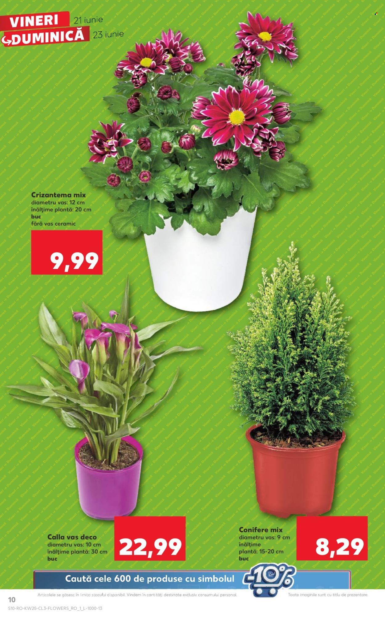 Catalog Kaufland - 21.06.2024 - 23.06.2024. Pagina 10