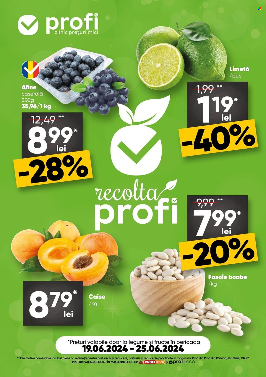 Catalog Profi Loco - 19.06.2024 - 25.06.2024. Pagina 1