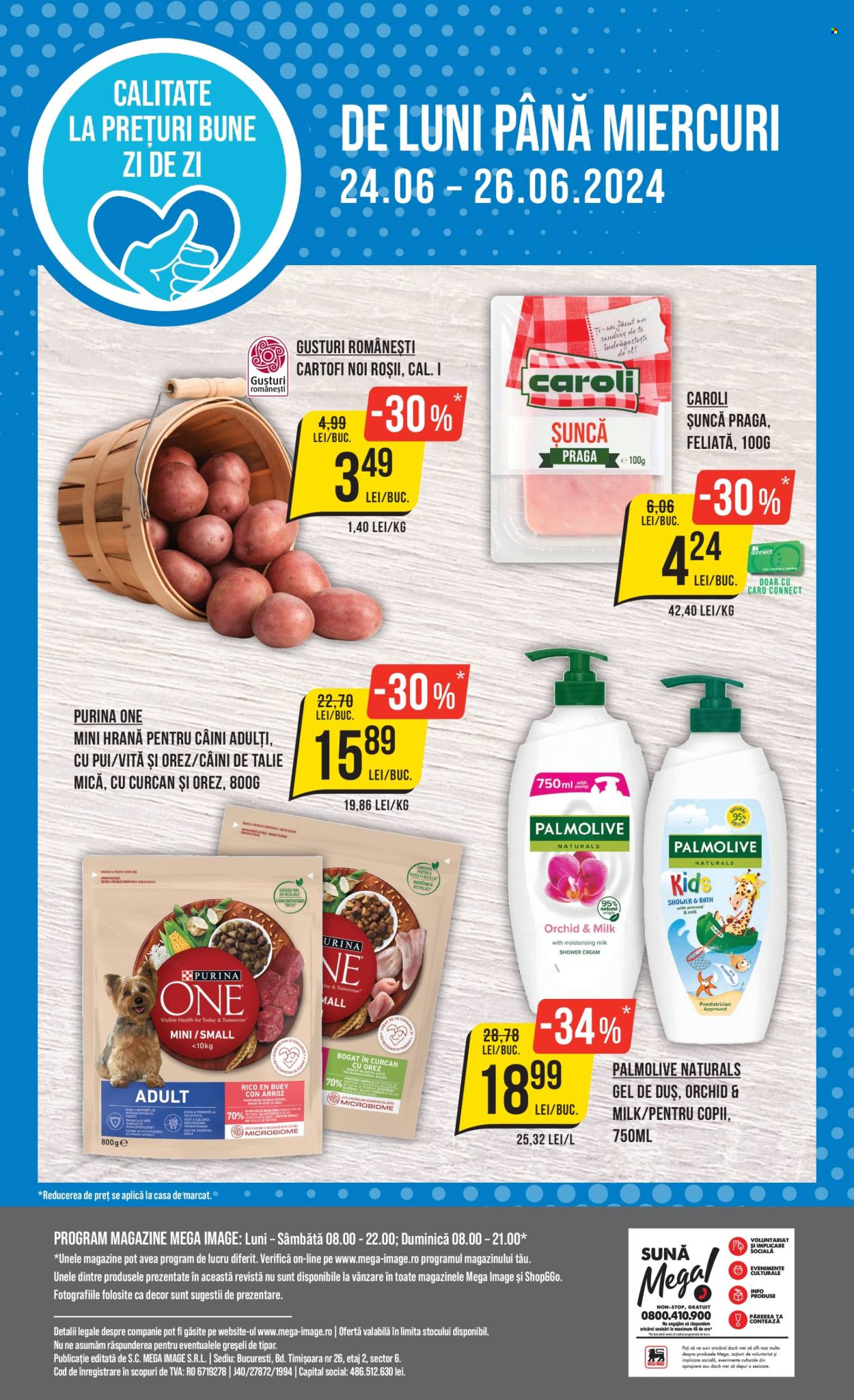Catalog Mega Image - 20.06.2024 - 26.06.2024. Pagina 24